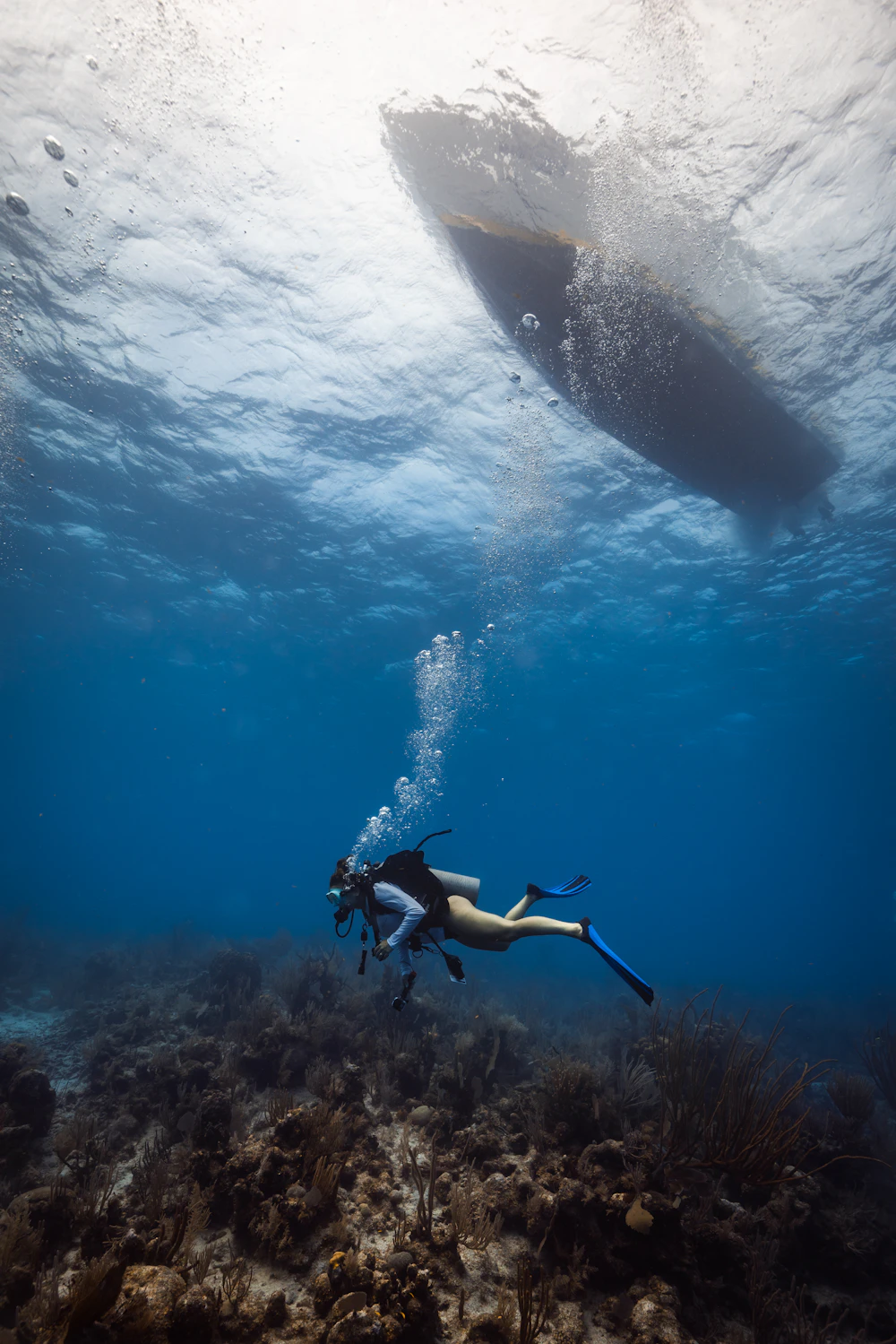Scuba diver inspecting the underwater area beneath a boat hull in clear blue water