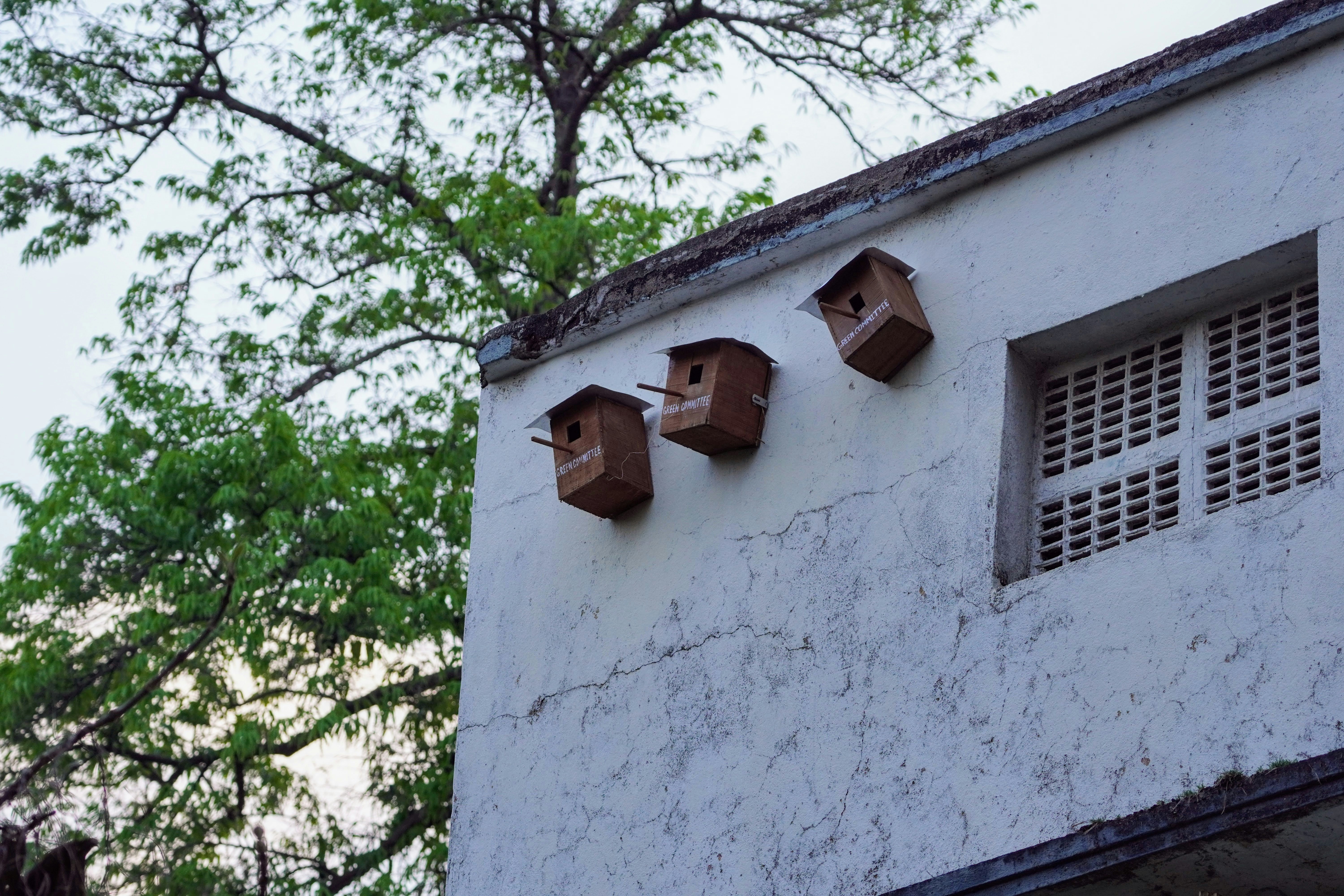 Hive Residential Life and Housing