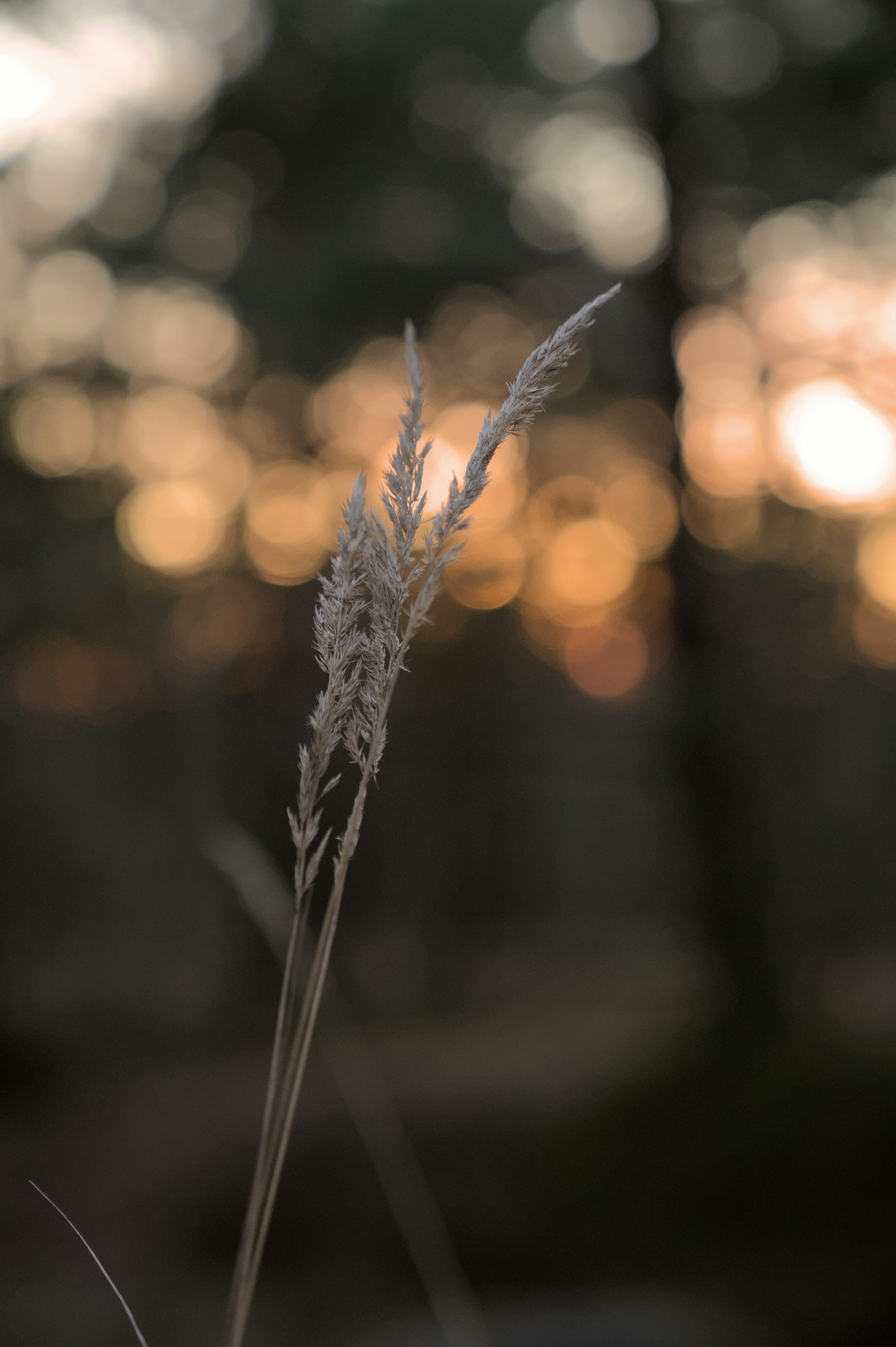 Photo by hannesknutsson