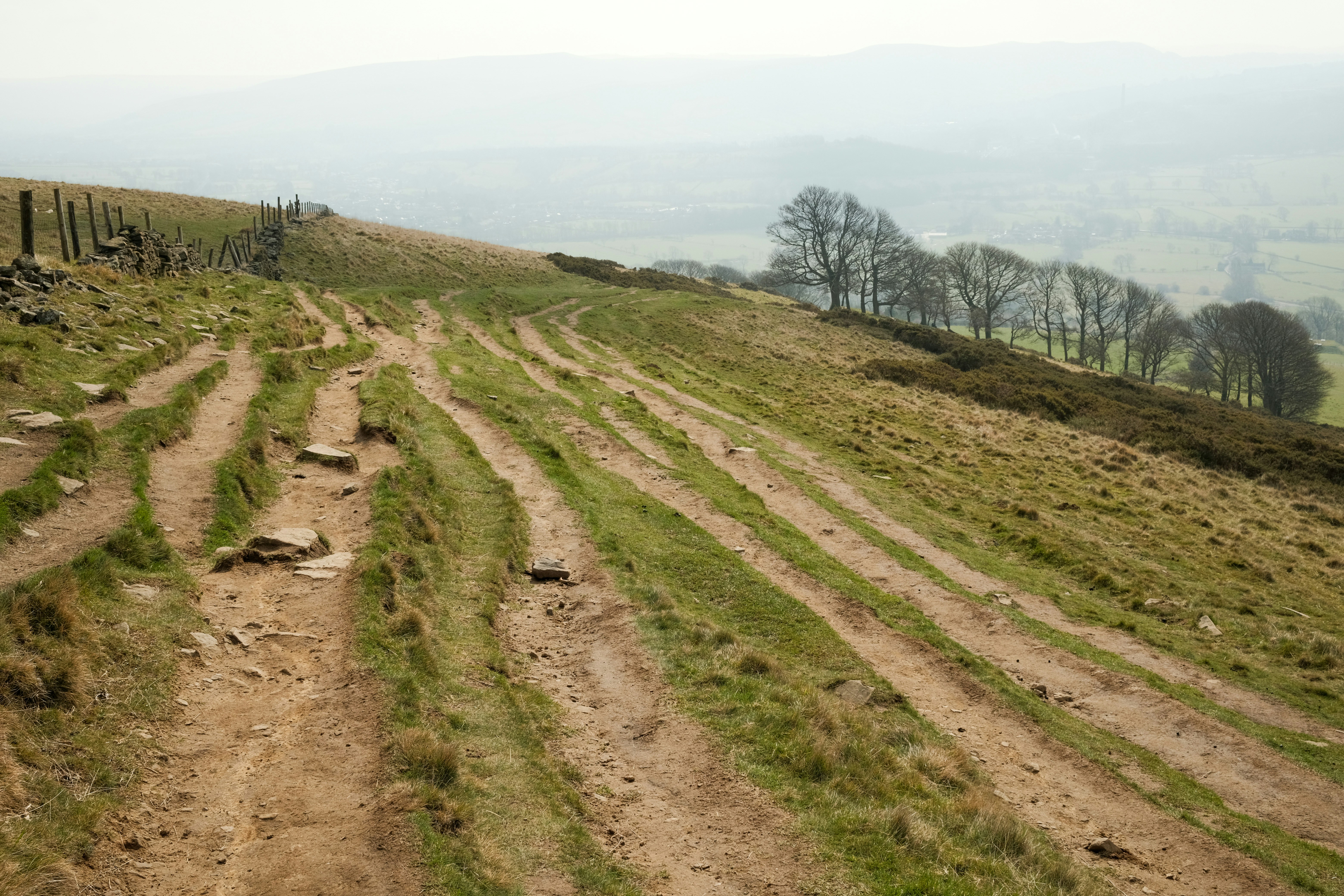 Dirt tracks wind across a grassy hillside.