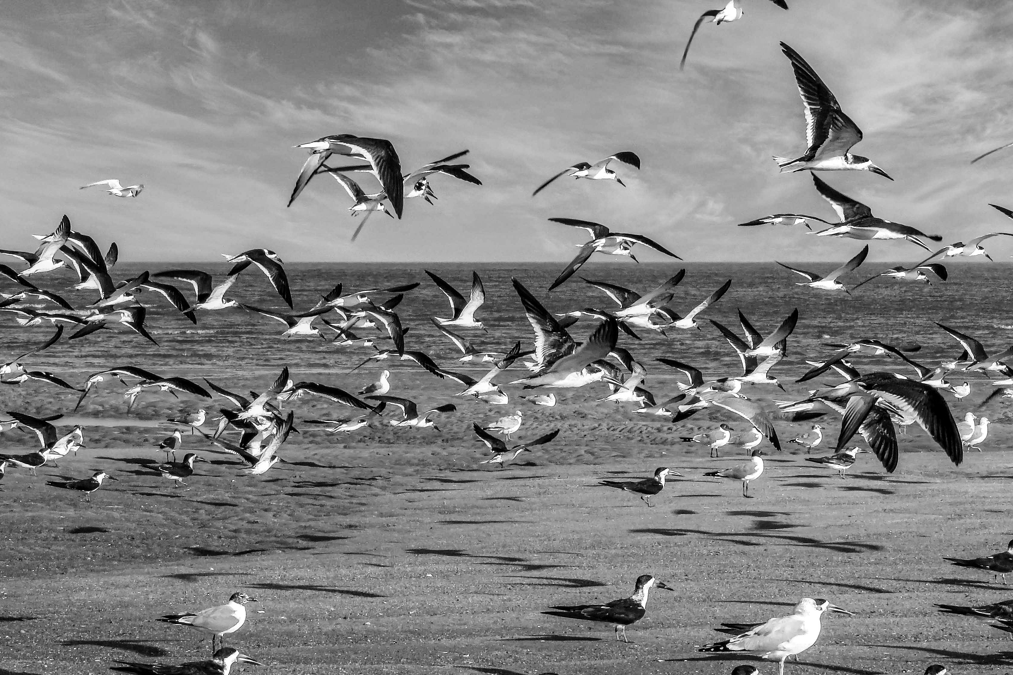 을지로입구역 주말 주차 저렴한 장소