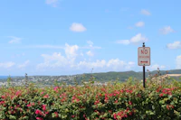 Best Rooftop Bars in Ponce for Sunset Drinks and City Views