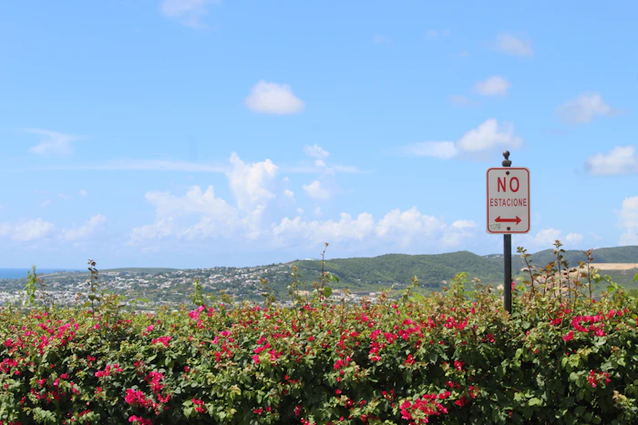 Best Rooftop Bars in Ponce for Sunset Drinks and City Views
