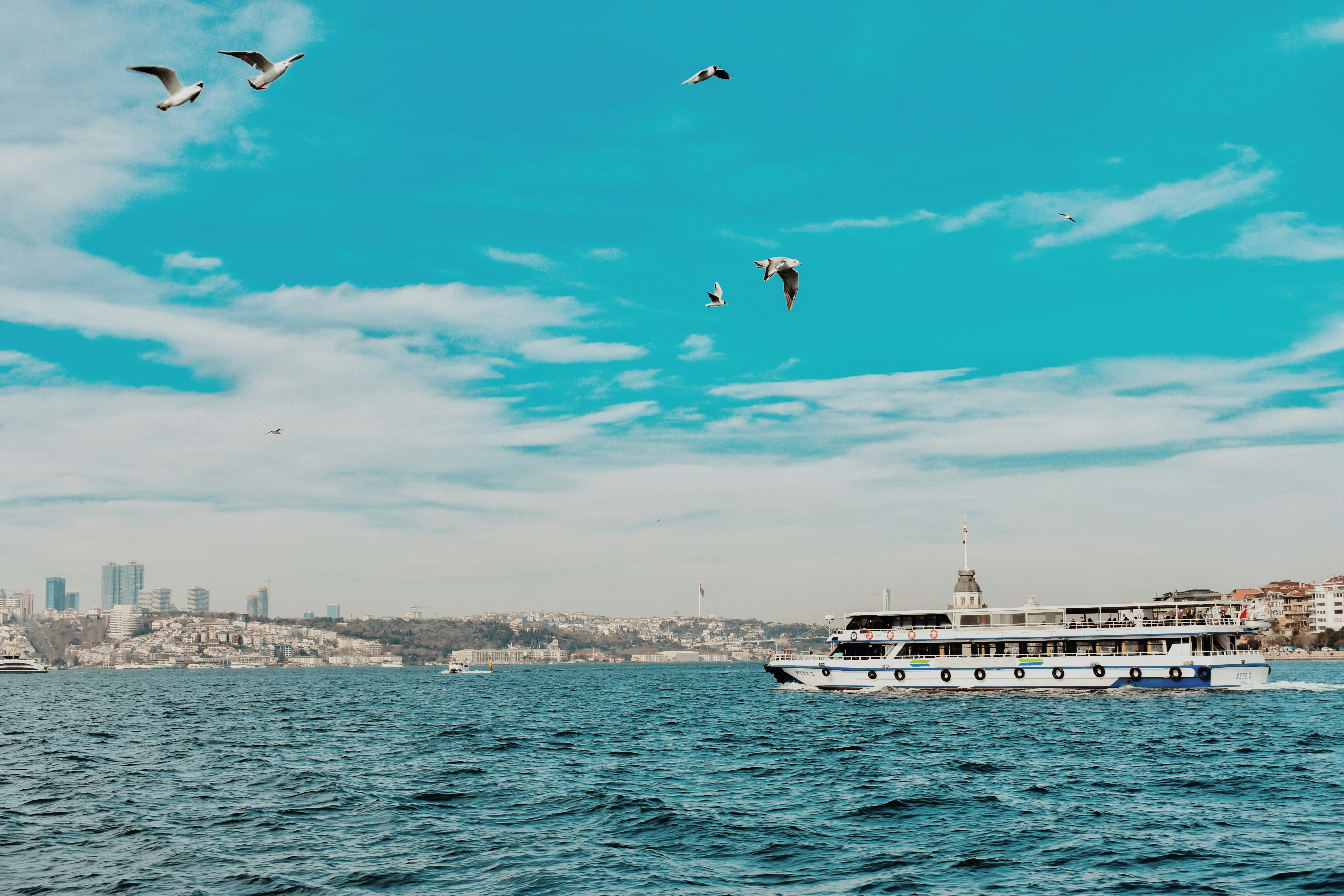 Photo by nisacokokumus