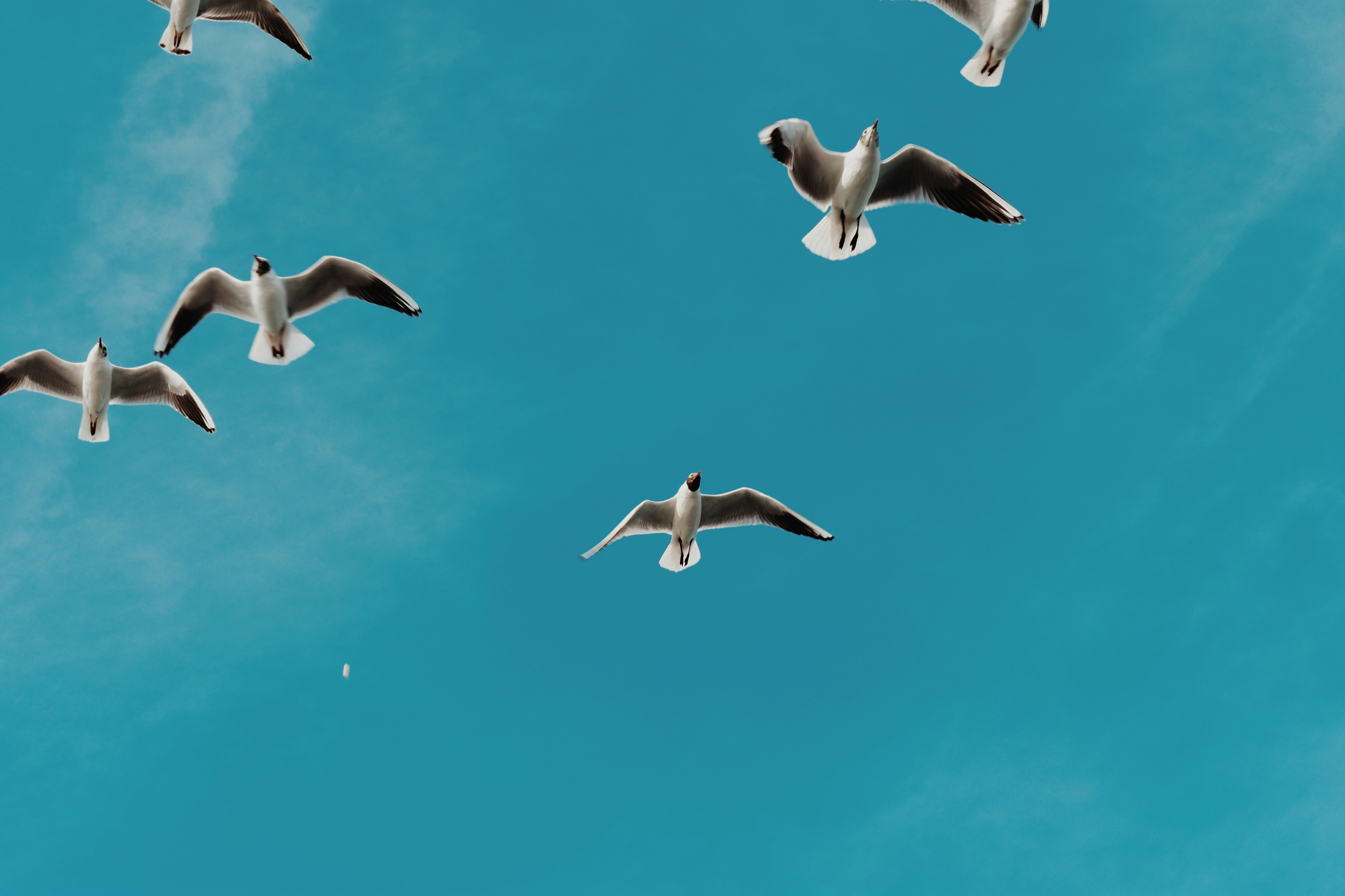 Photo by nisacokokumus