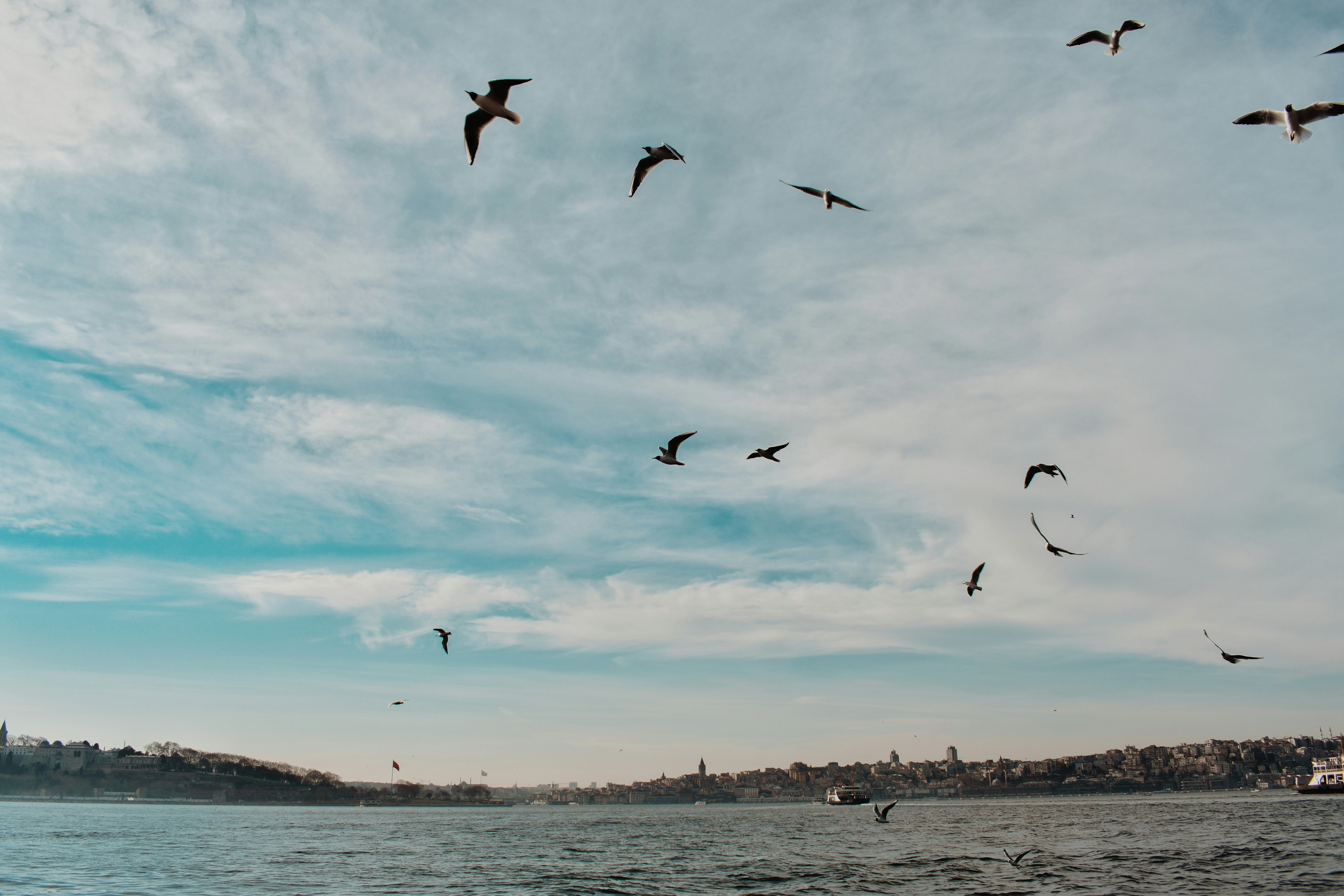 Photo by nisacokokumus