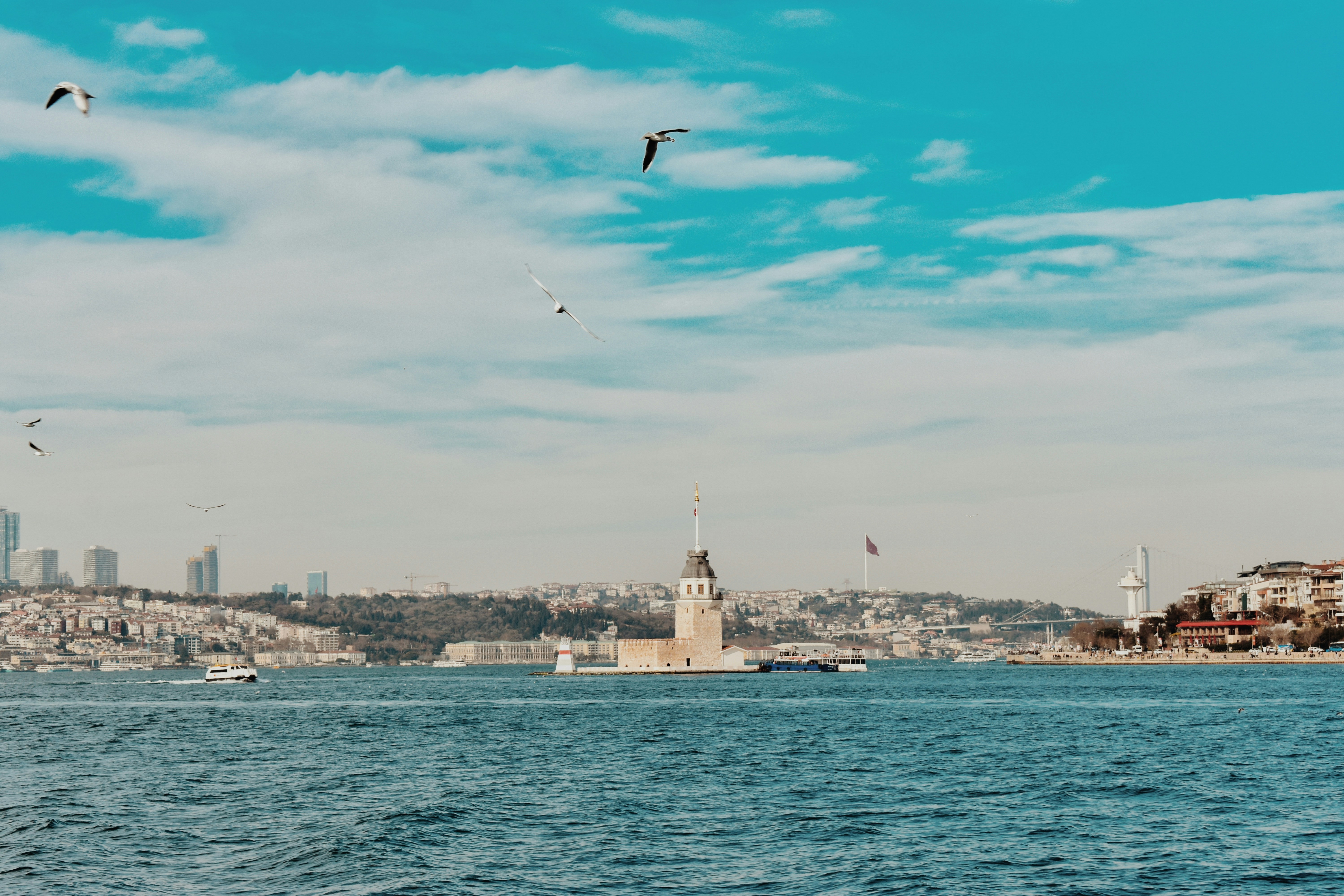 Photo by nisacokokumus