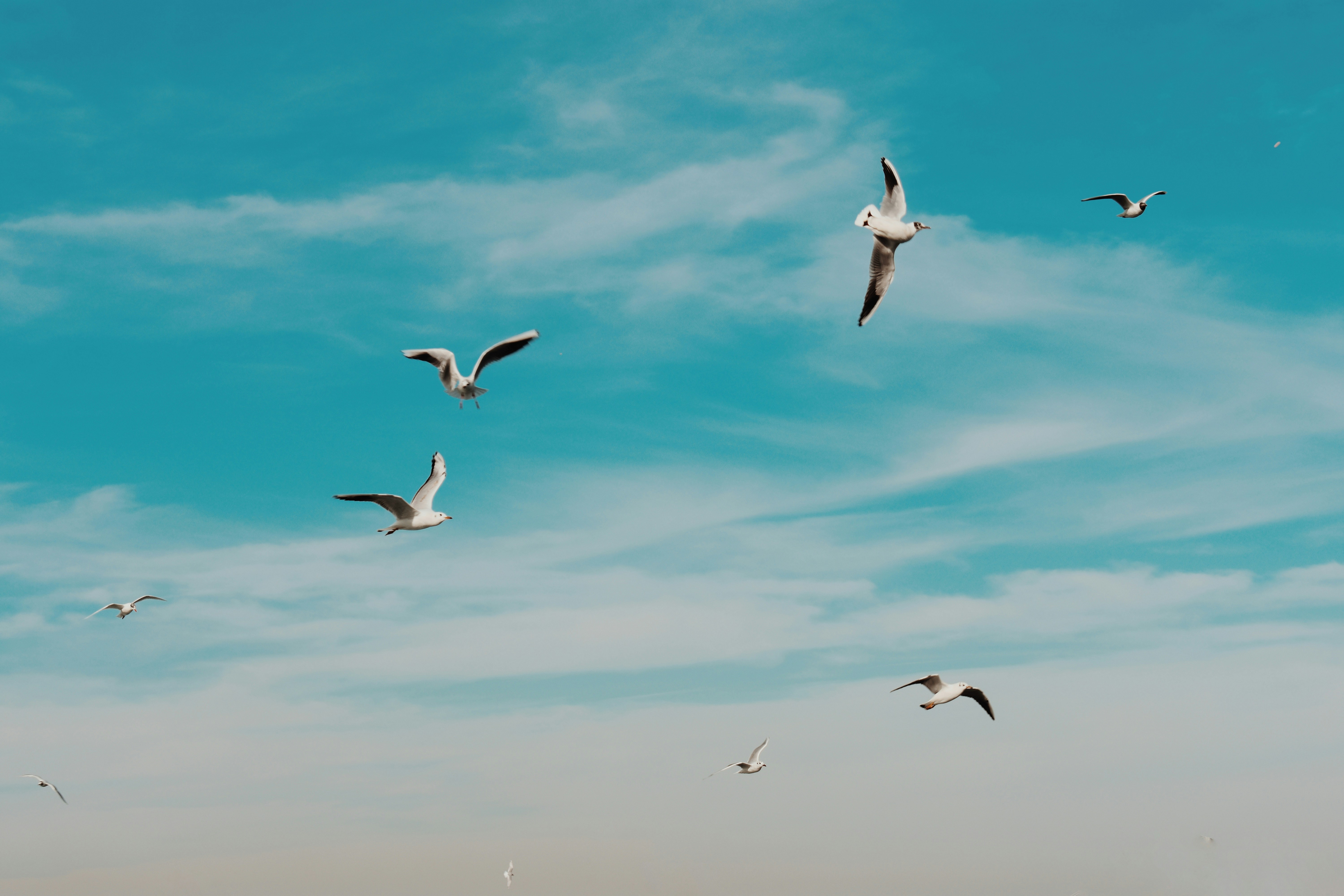 Photo by nisacokokumus