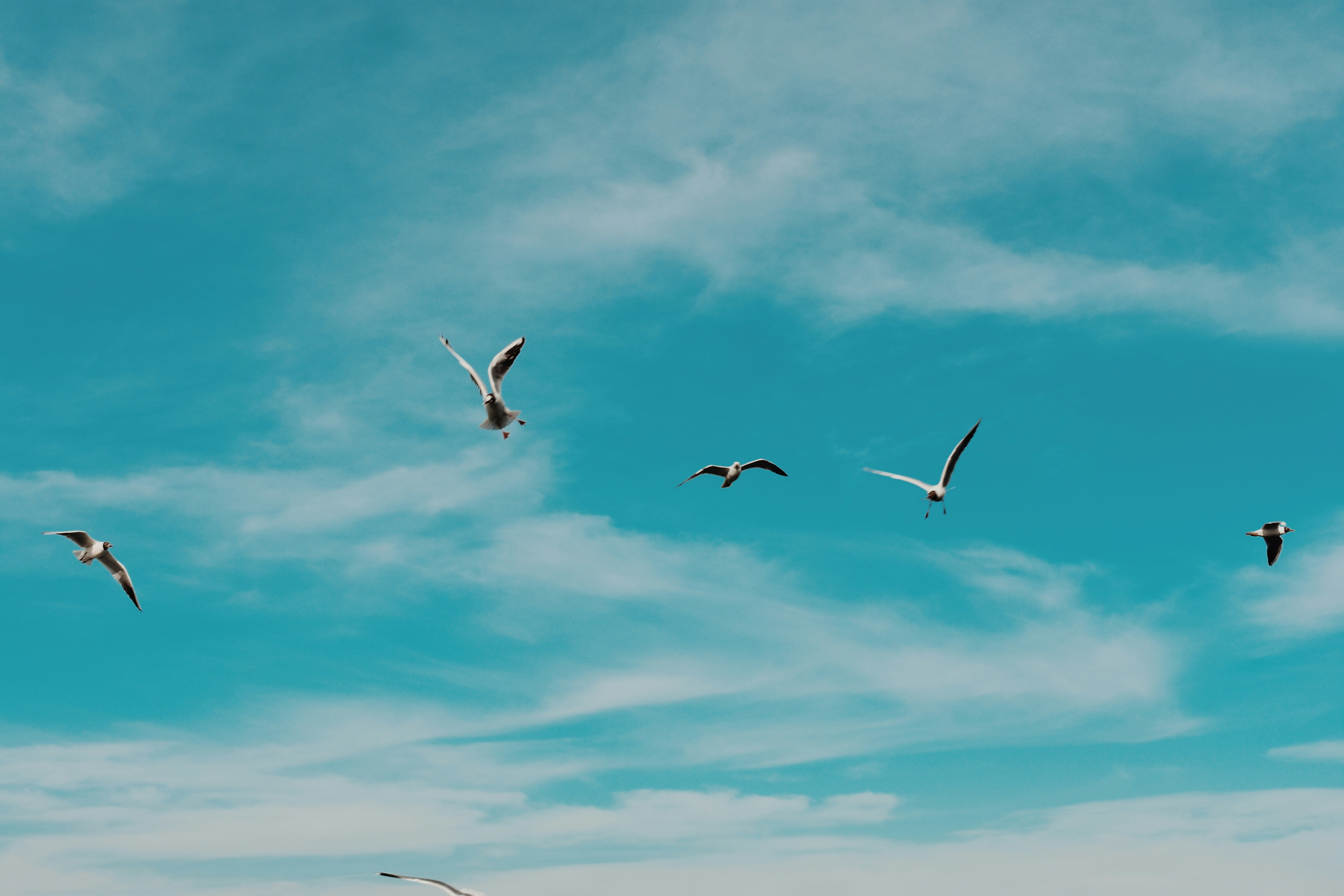 Photo by nisacokokumus