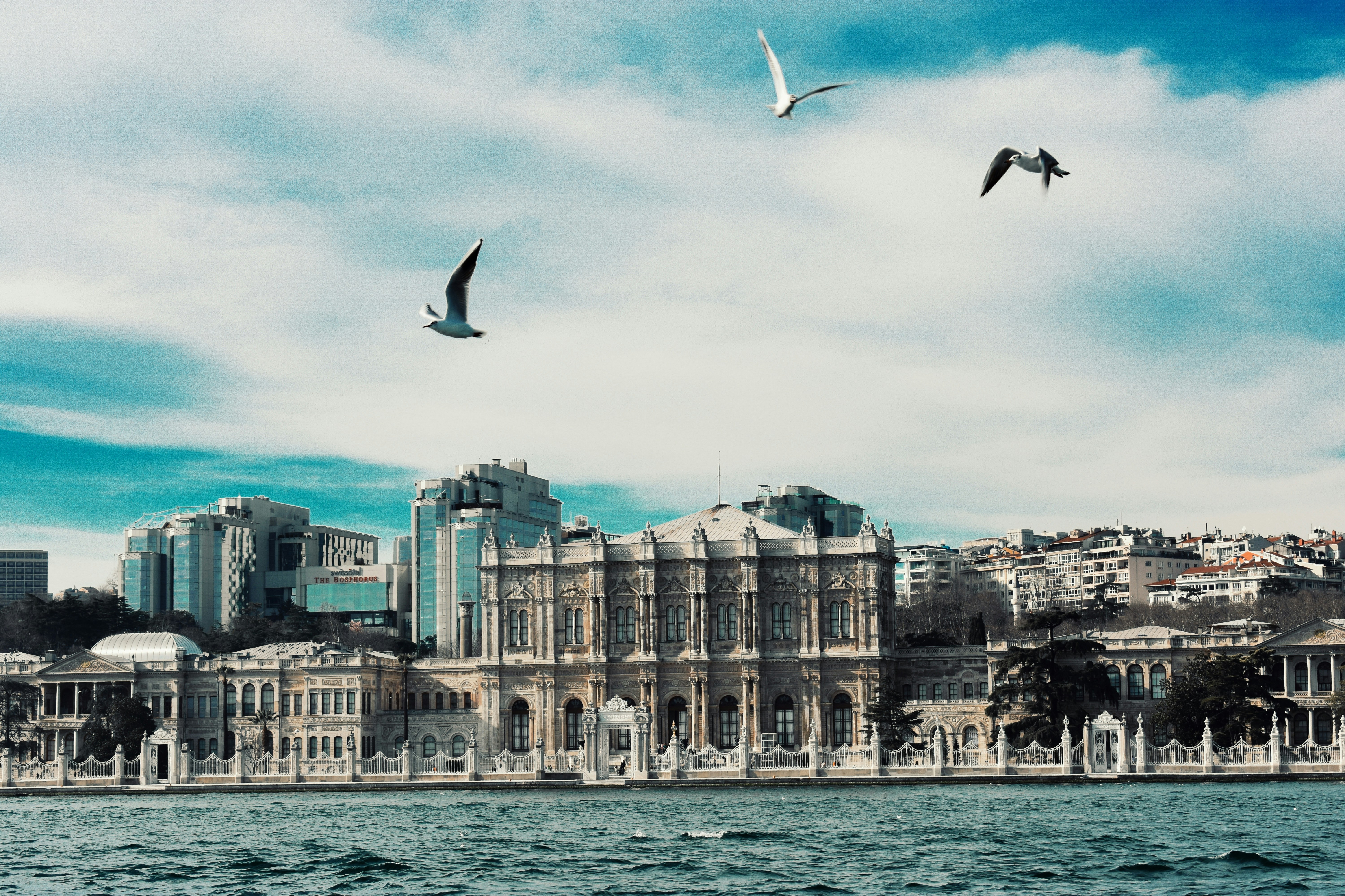 Photo by nisacokokumus