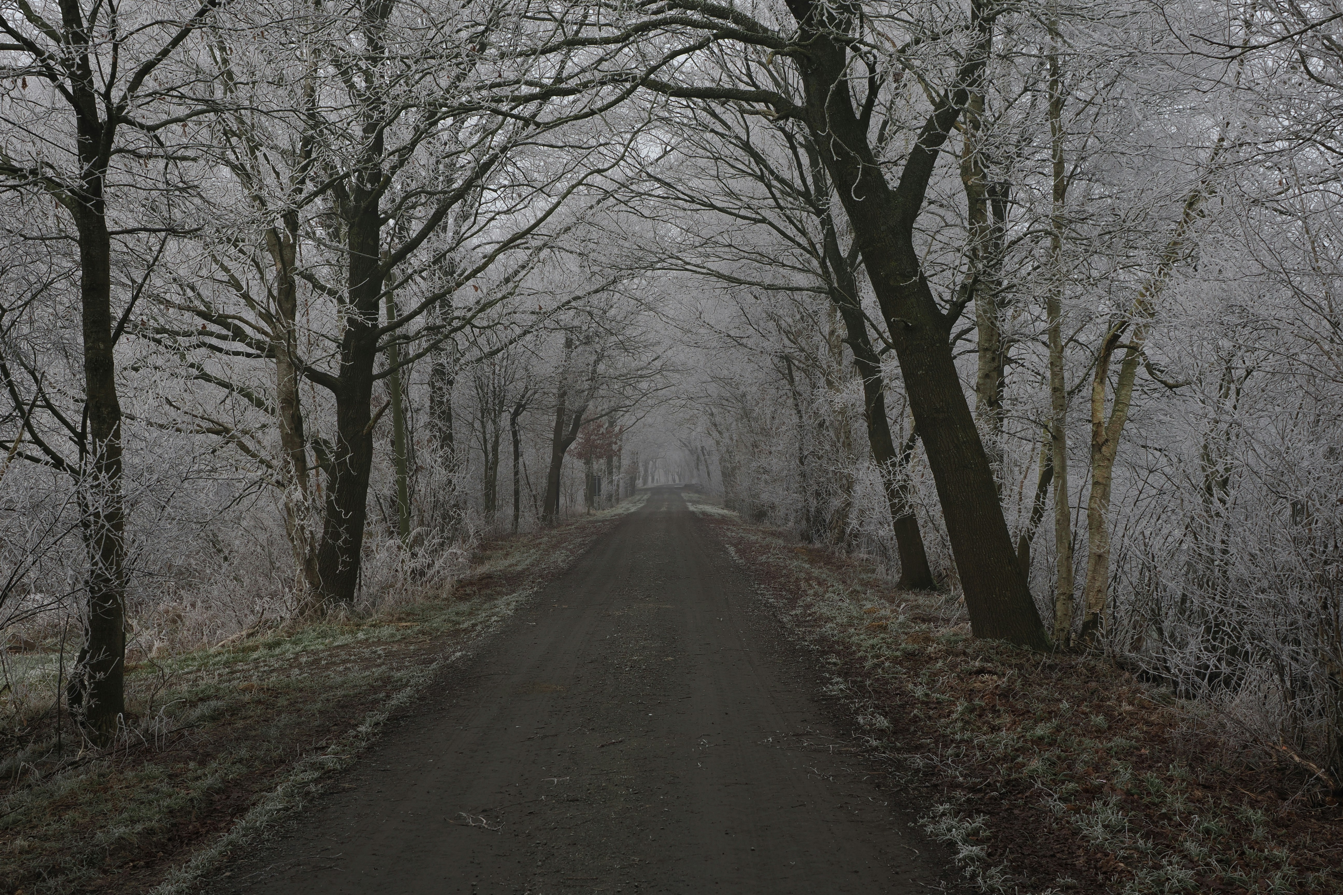 Photo by fotografie_thomas_nolte