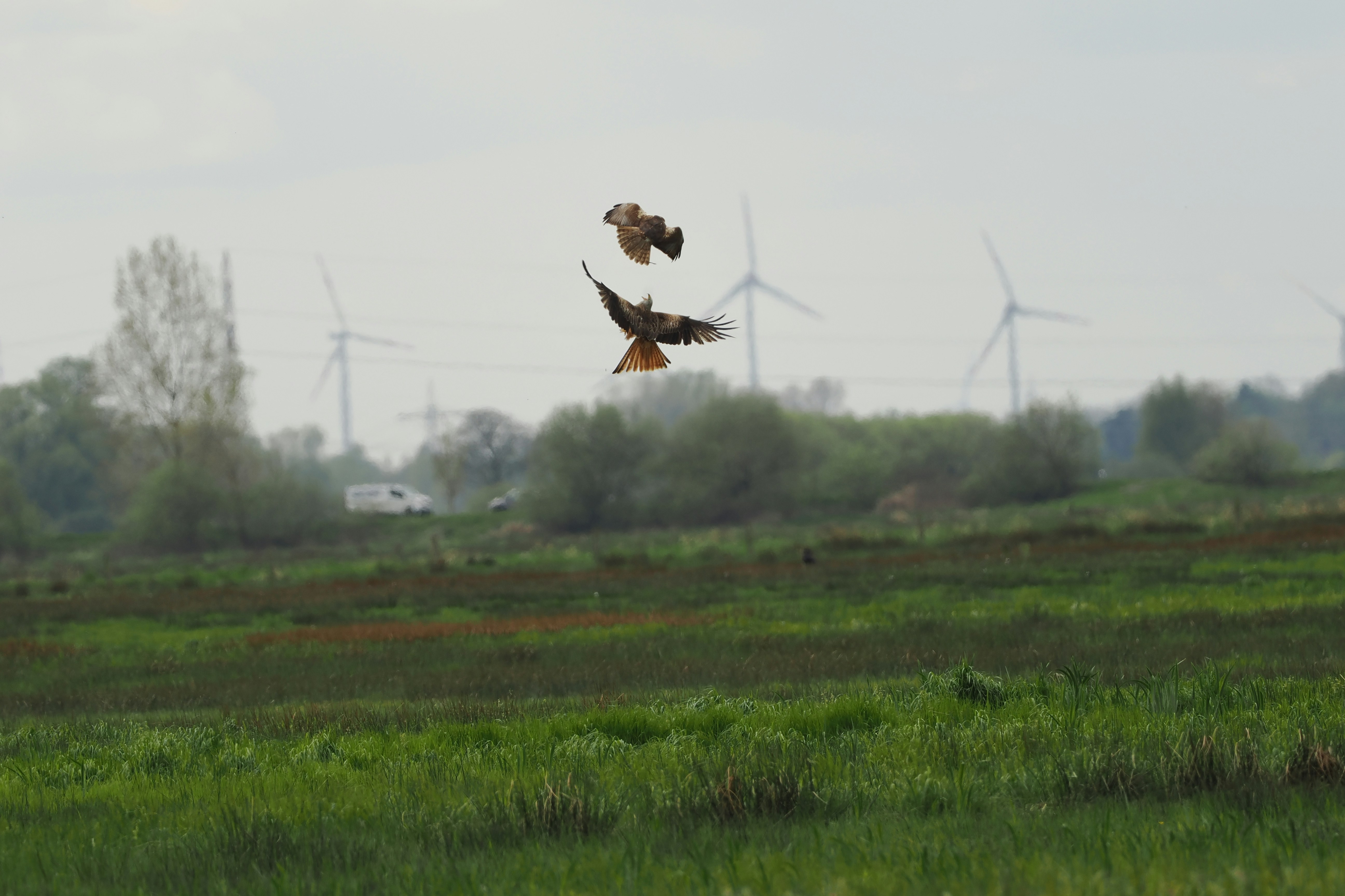 Photo by fotografie_thomas_nolte