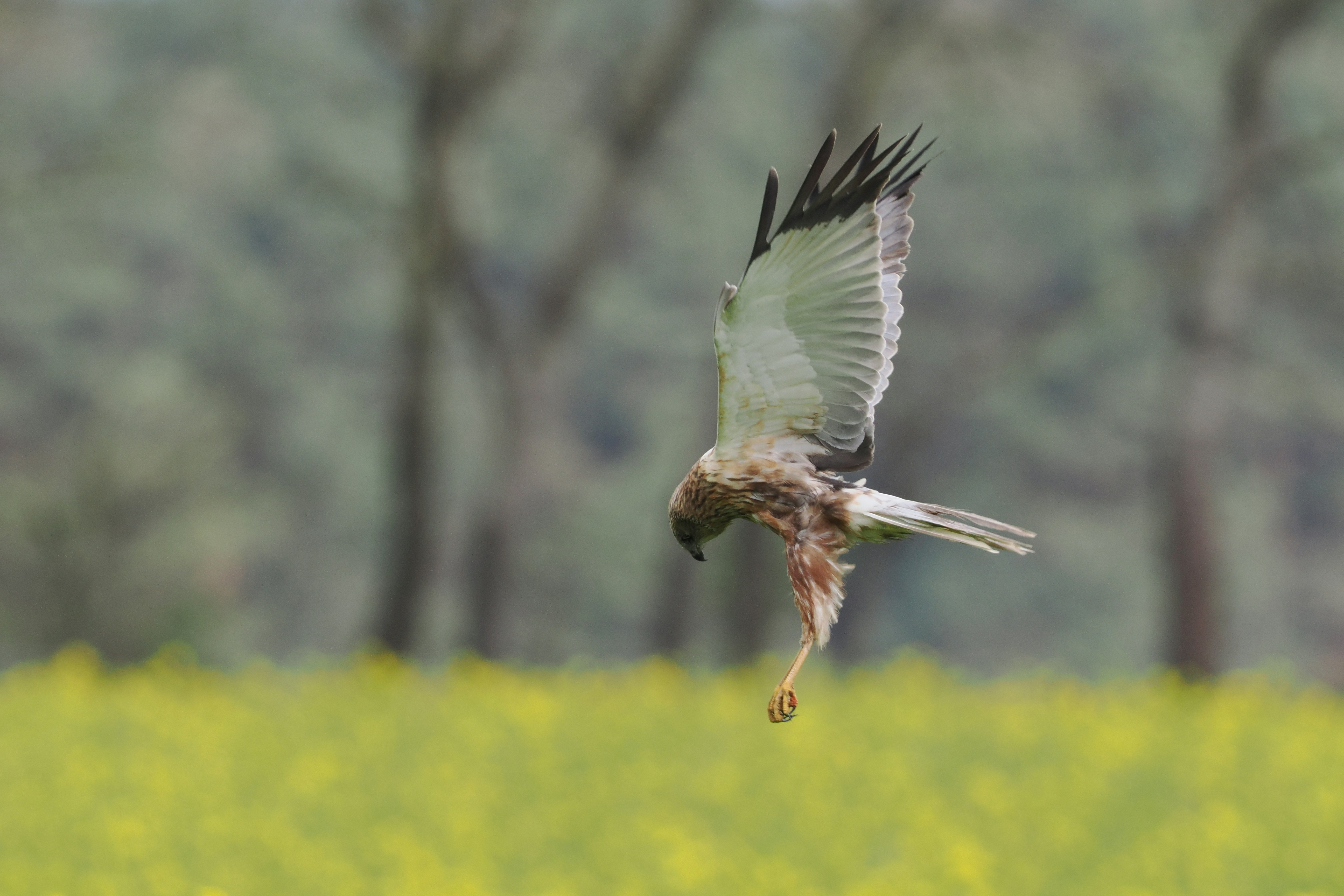 Photo by fotografie_thomas_nolte