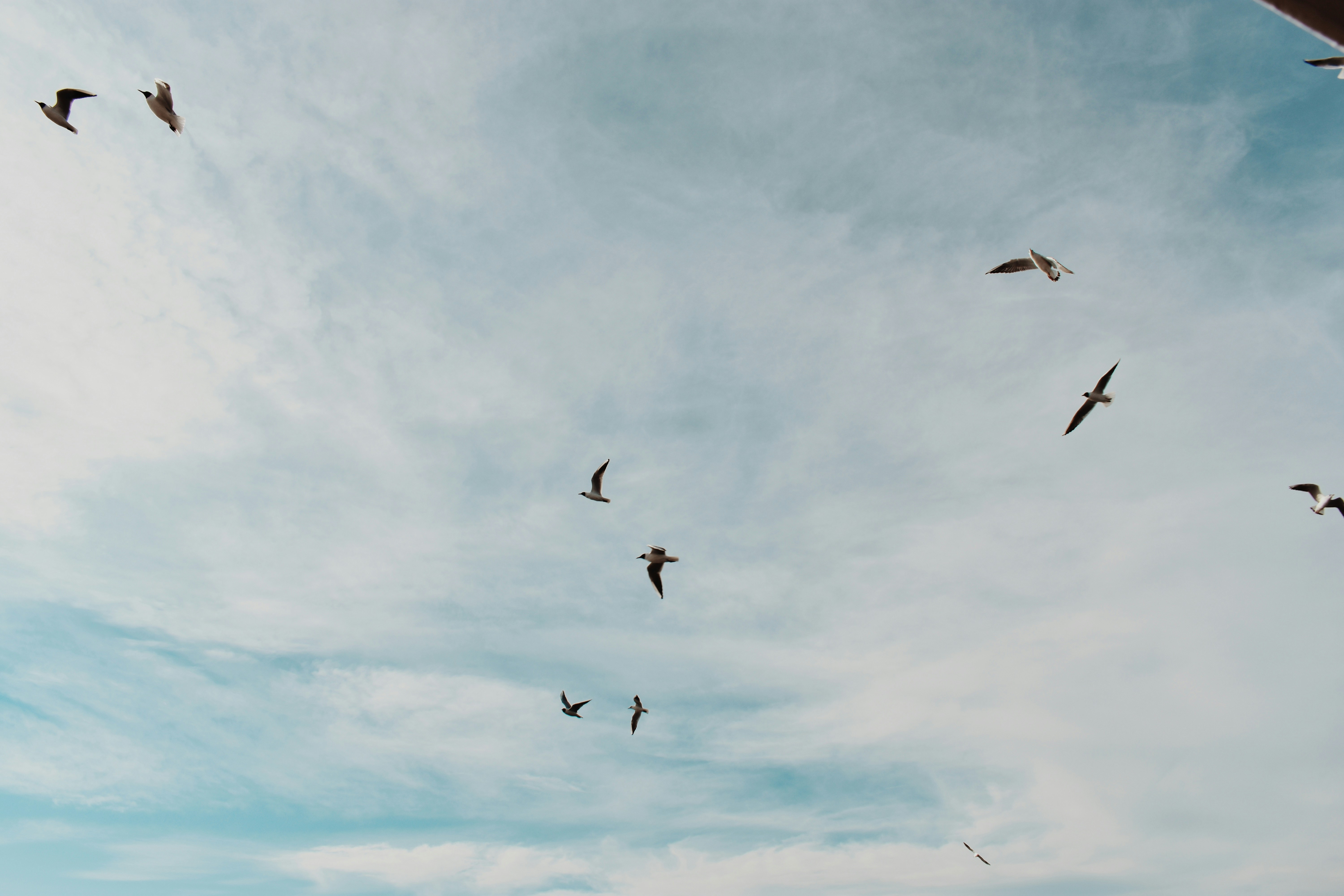 Photo by nisacokokumus