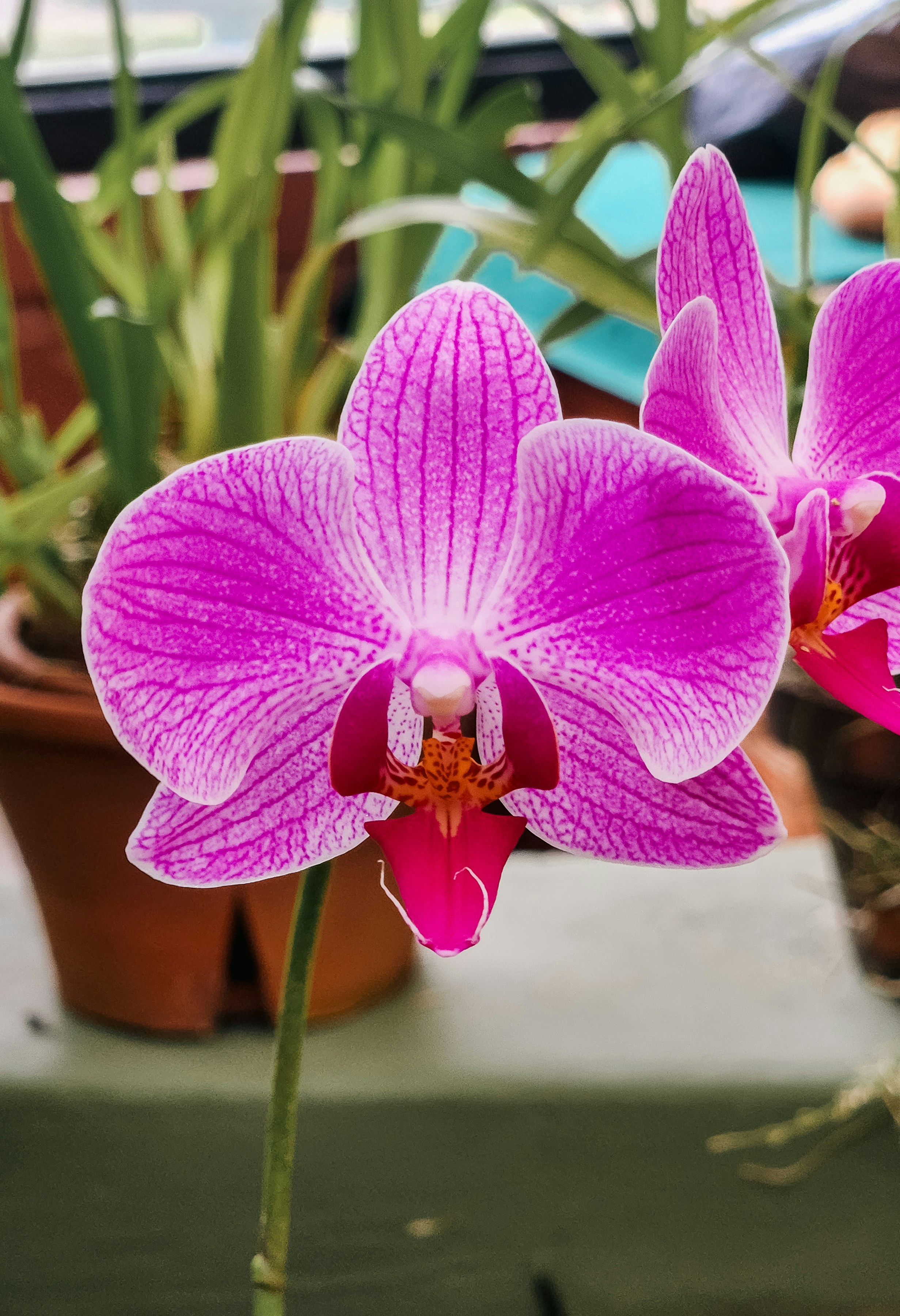 Photo by zoshuacolah