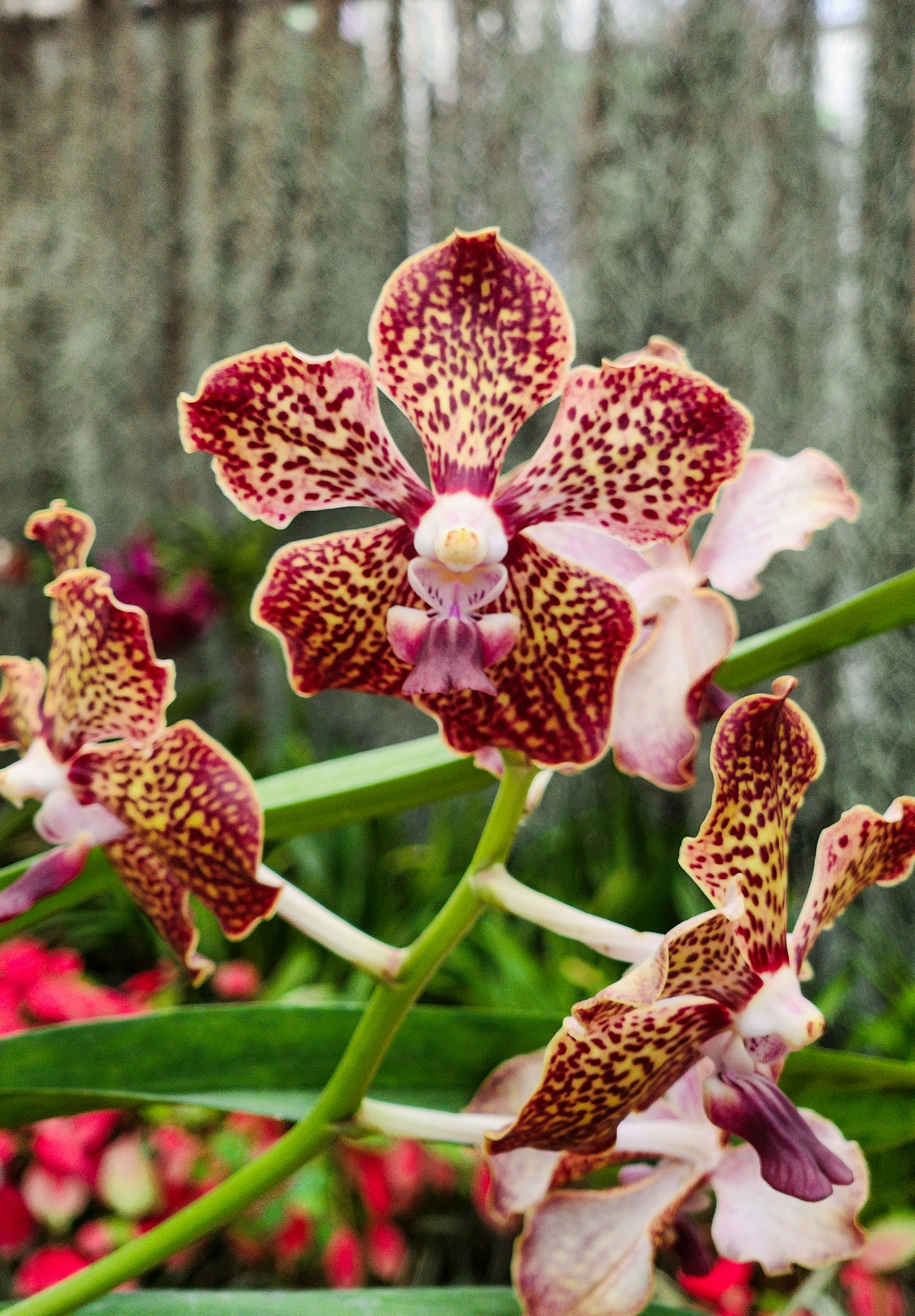 Photo by zoshuacolah