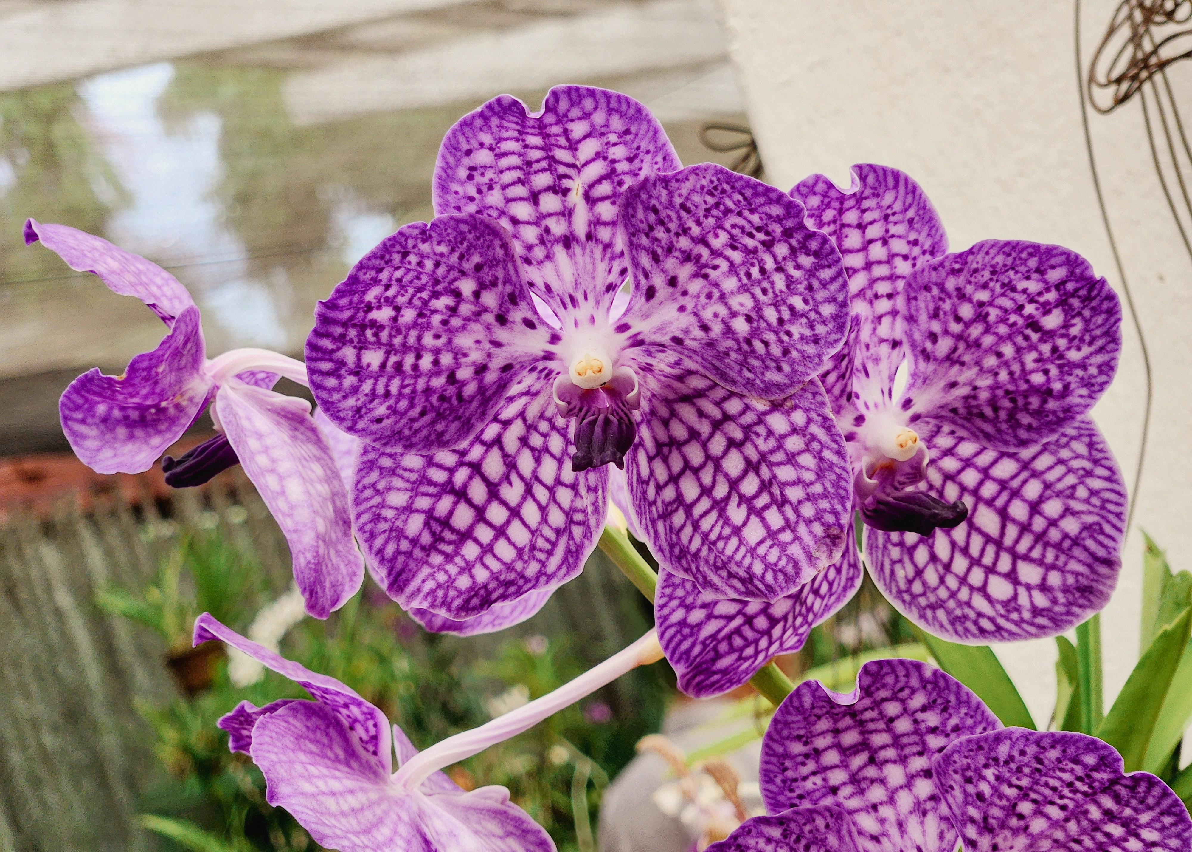 Photo by zoshuacolah