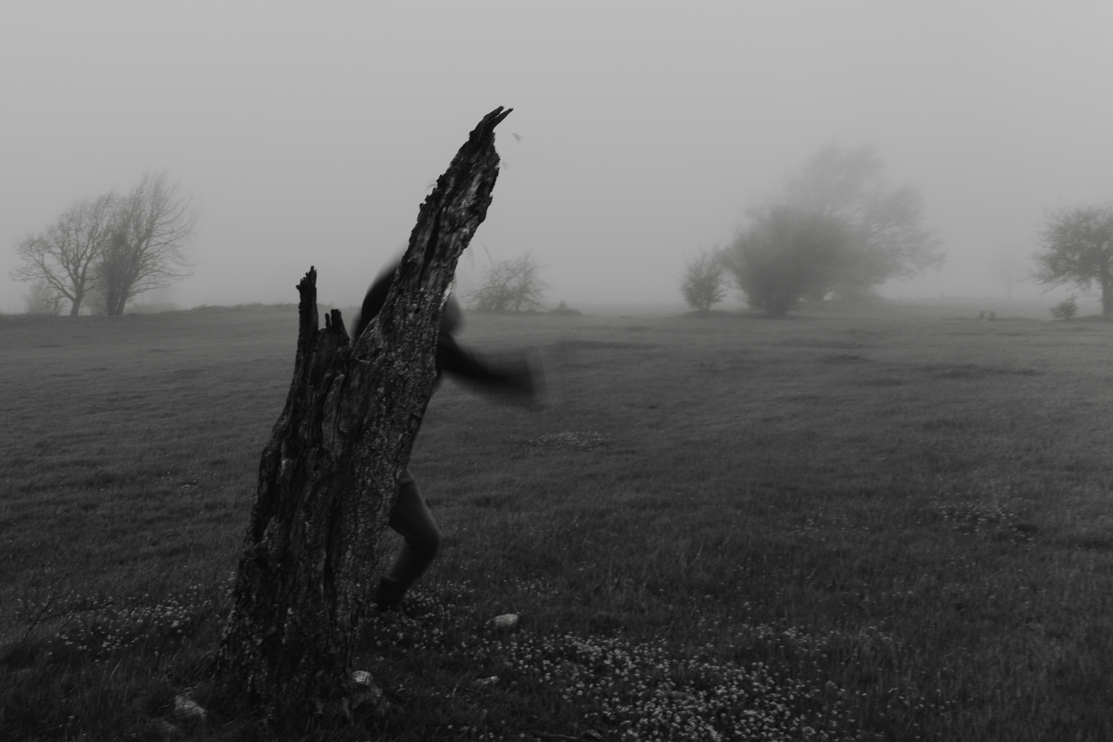 A person appears to be fused with a tree.