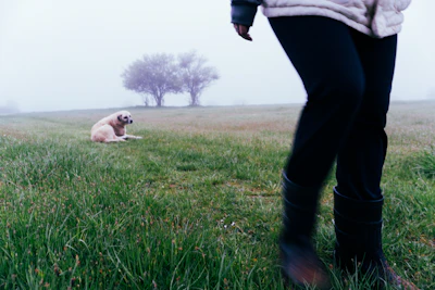 Woman walking towards a dog in a grassy field.