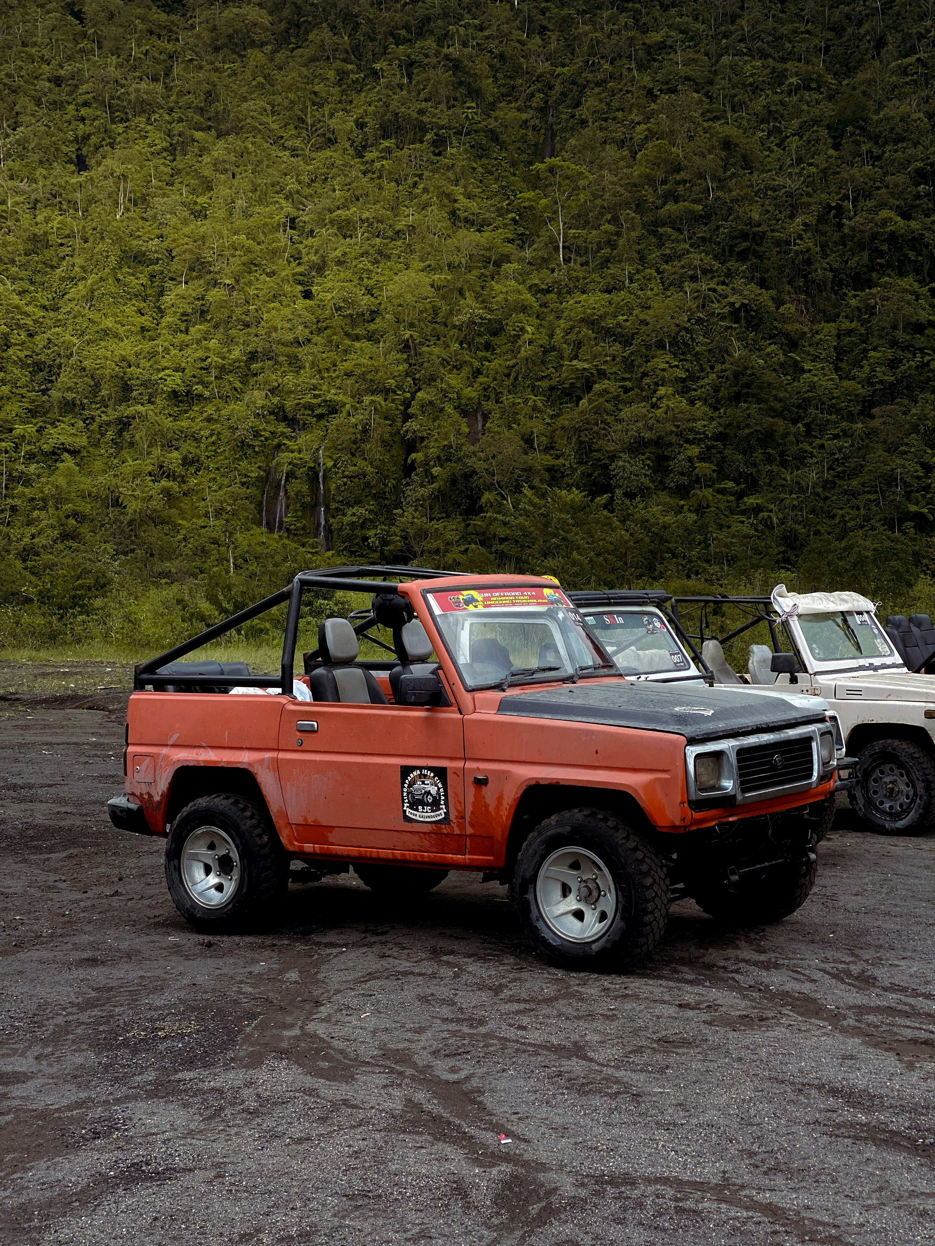 Orange jeep parked in front of a green forest.
