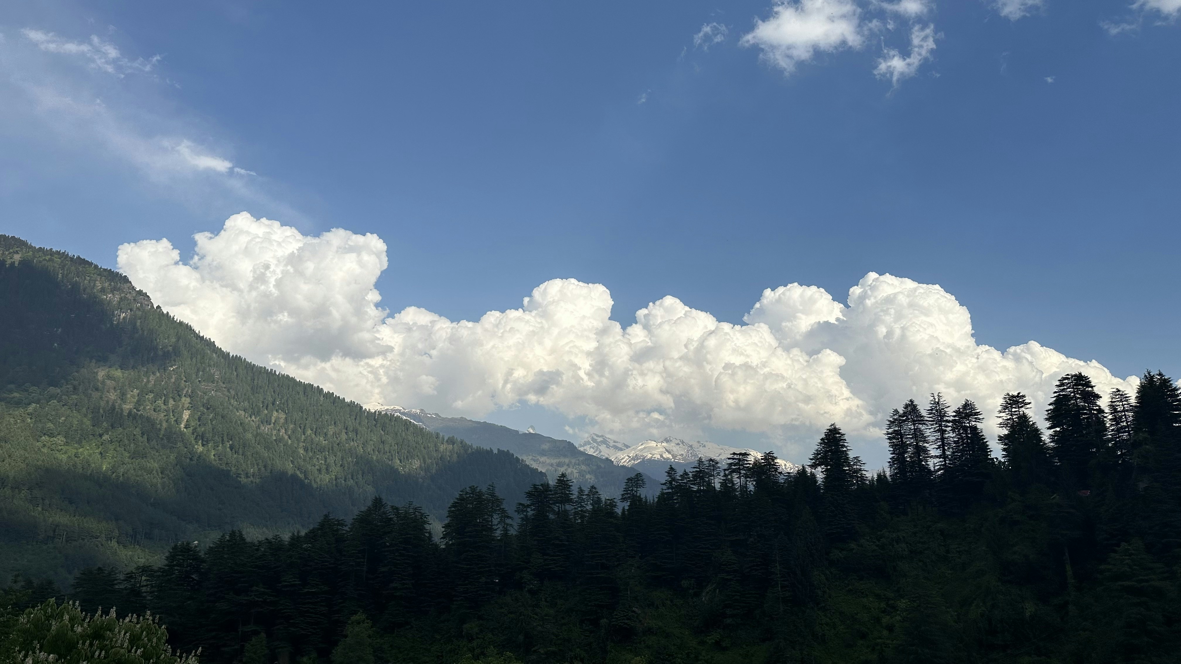 Photo by abhishekkumar98