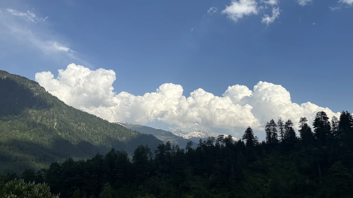 All of Himachal Pradesh (9 Nights)