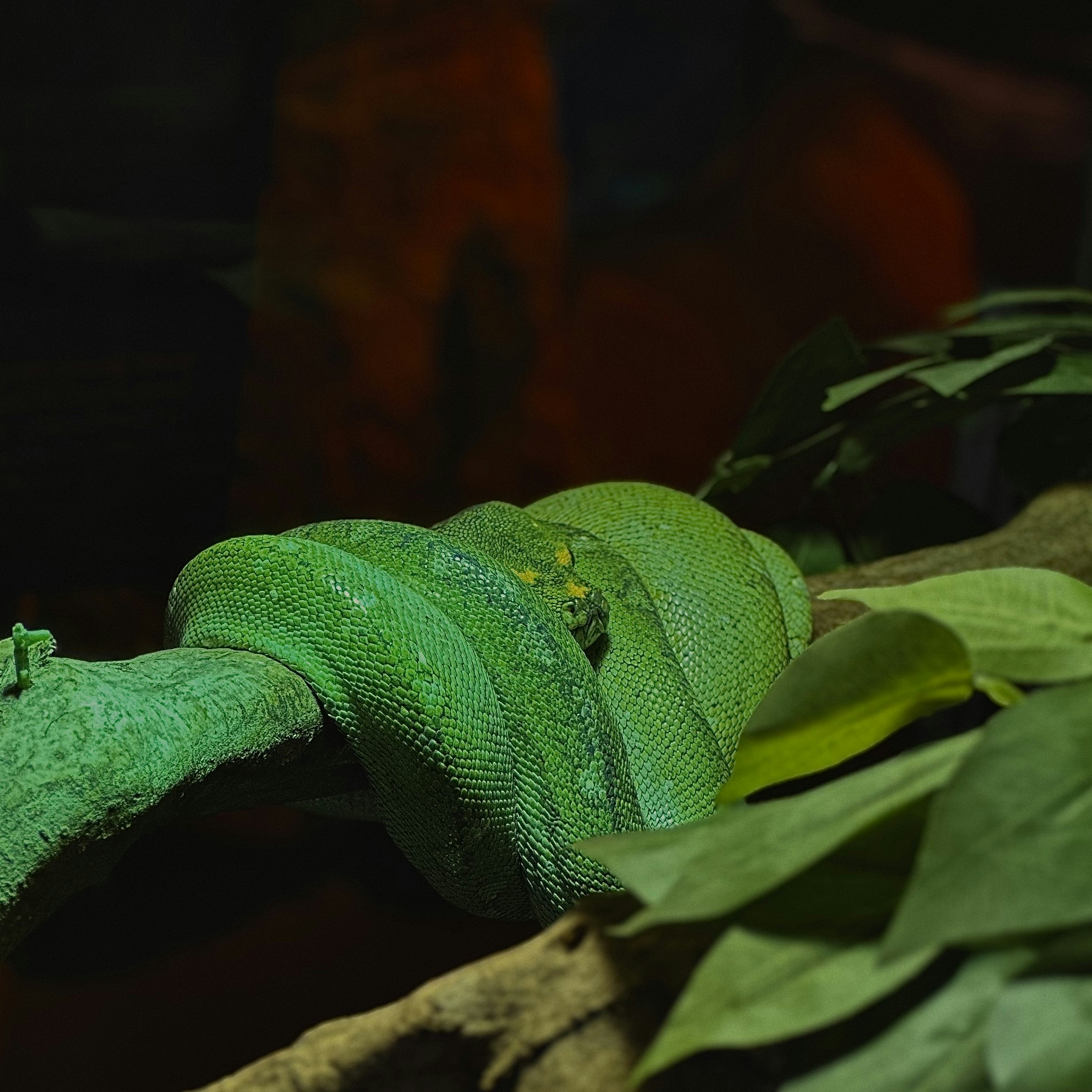 Photo by abhishekkumar98