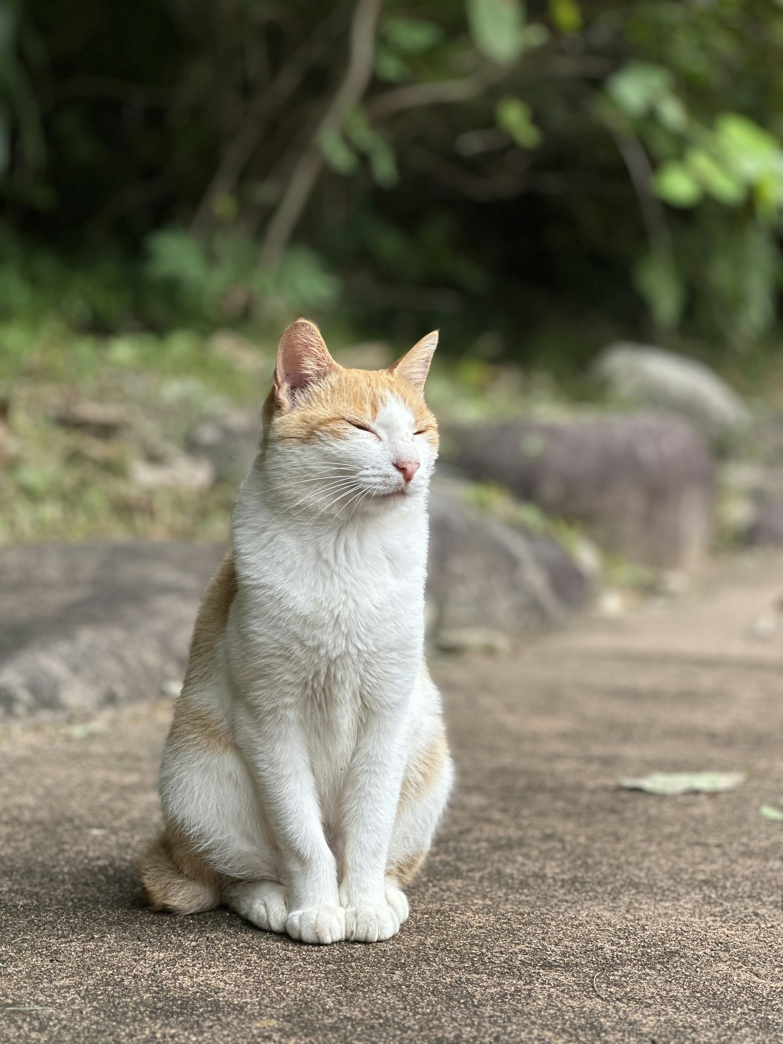 Sokcho – Safety, Health & Local Etiquette