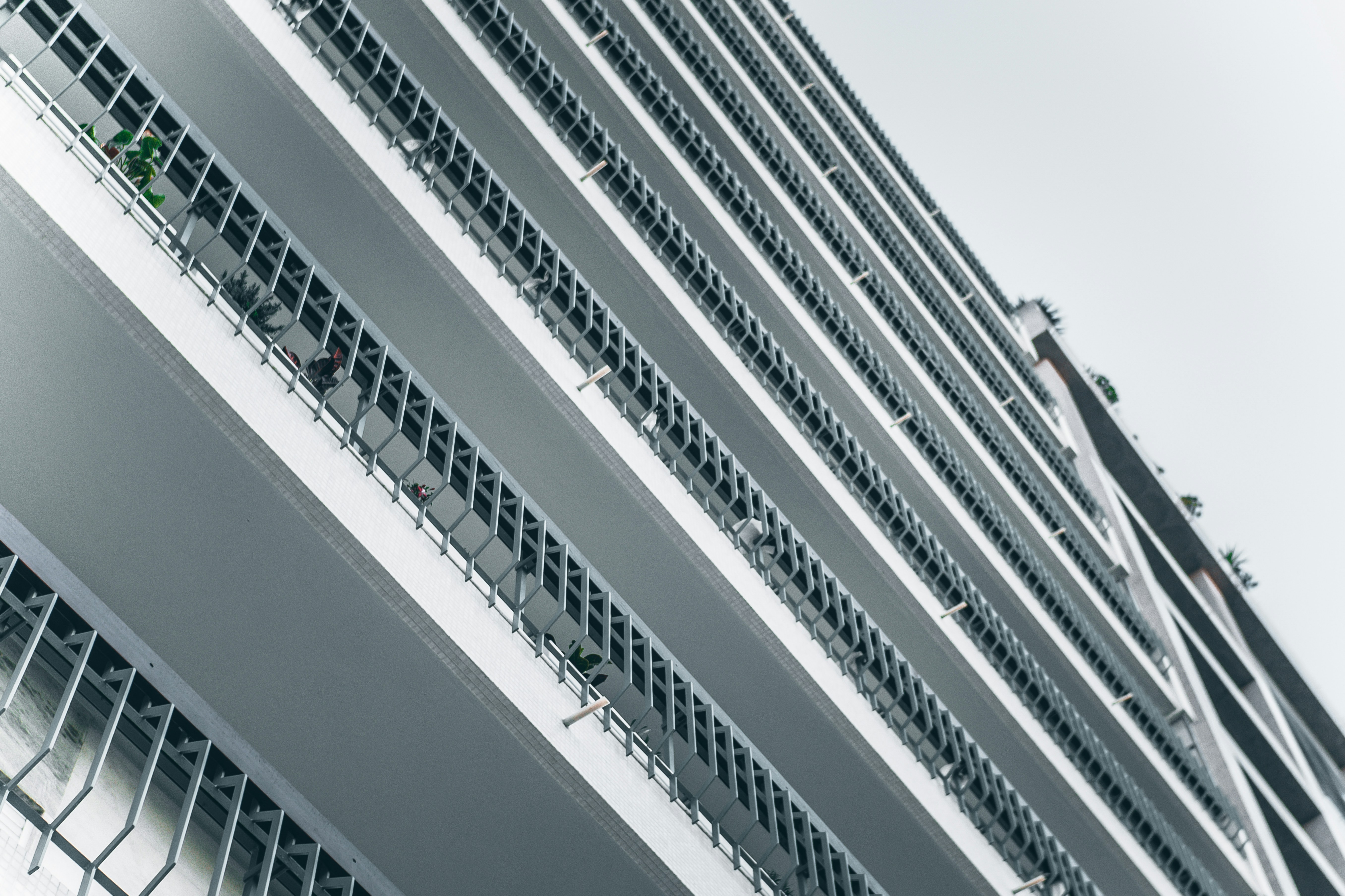 Photo by andreeusebio