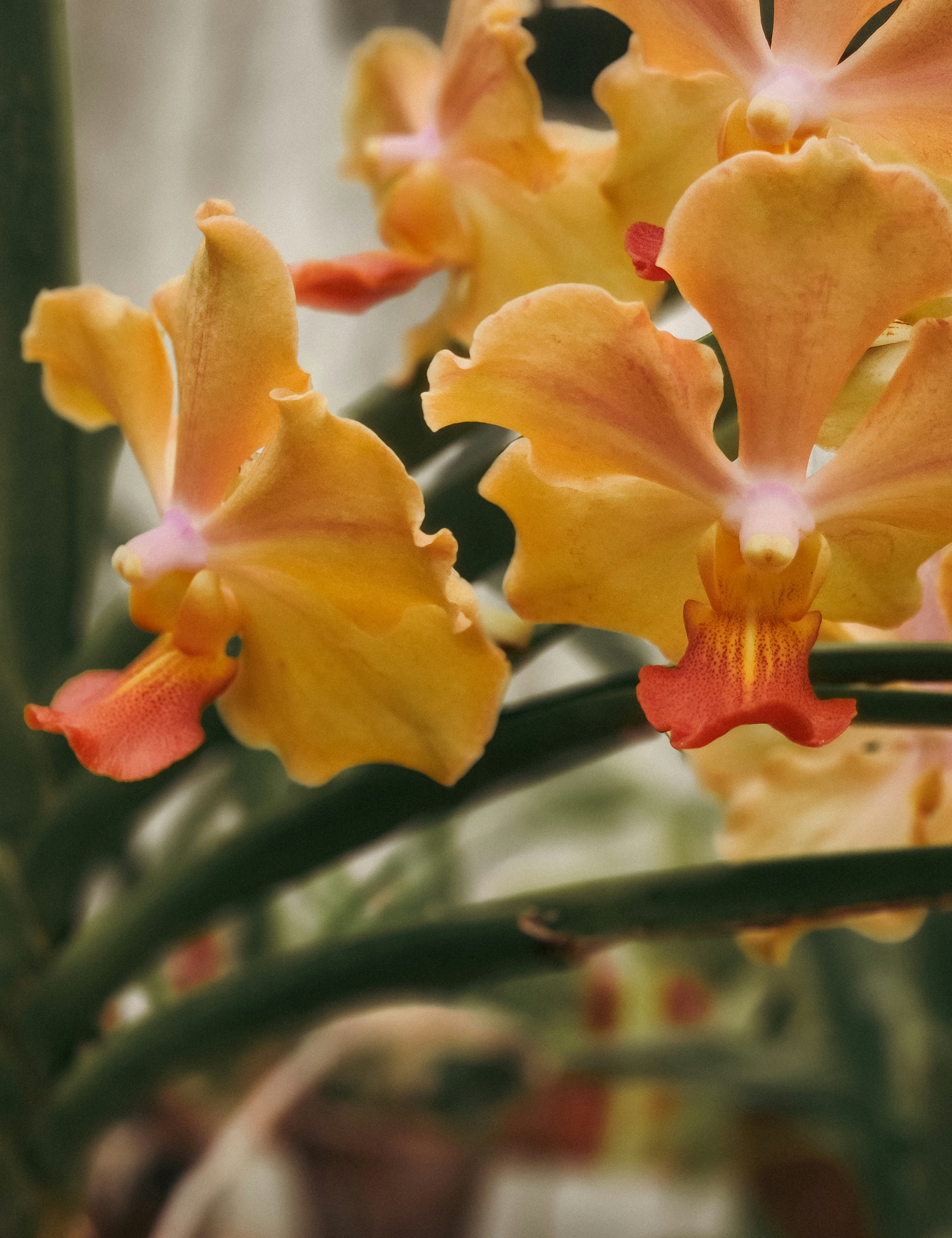 Photo by zoshuacolah