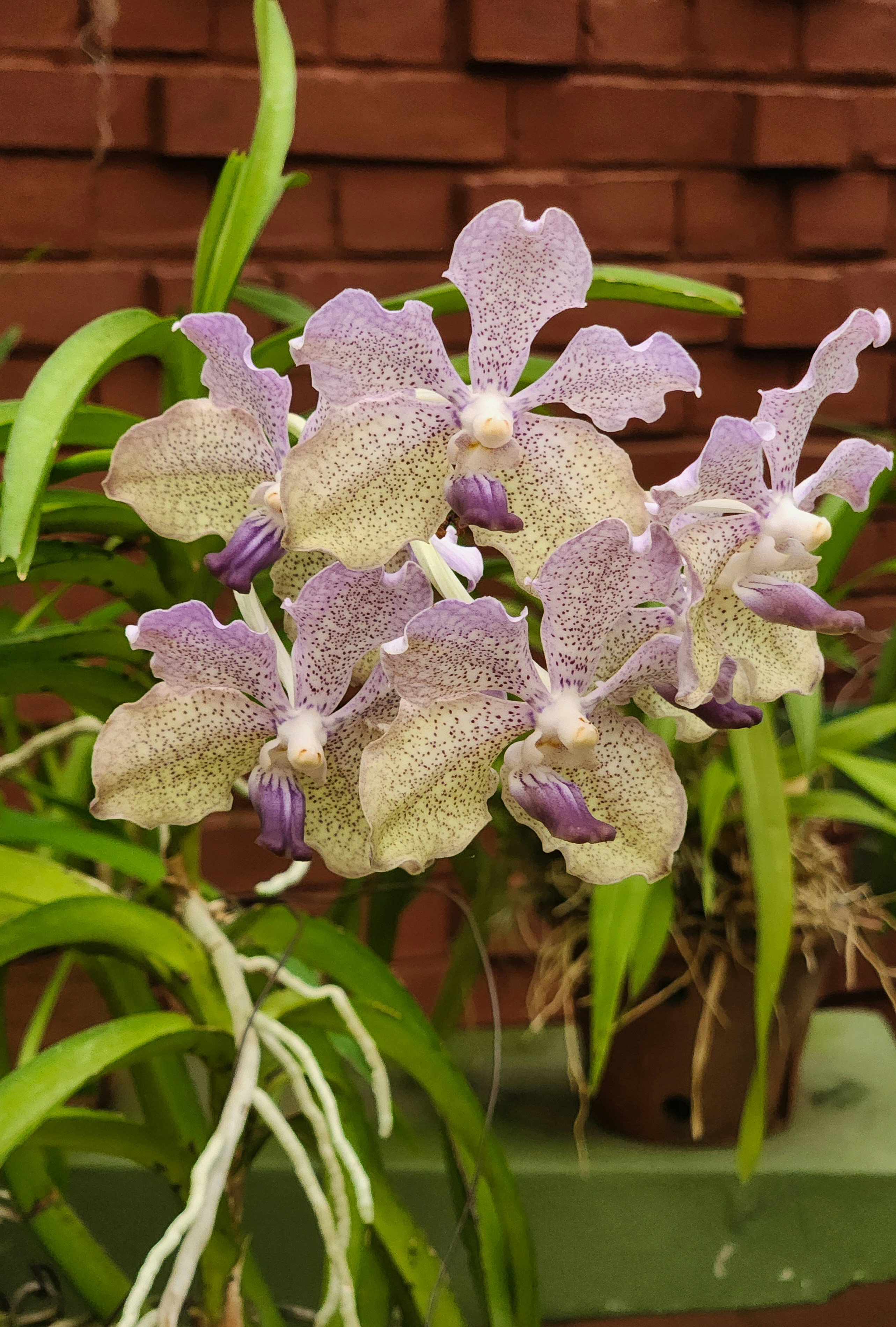 Photo by zoshuacolah