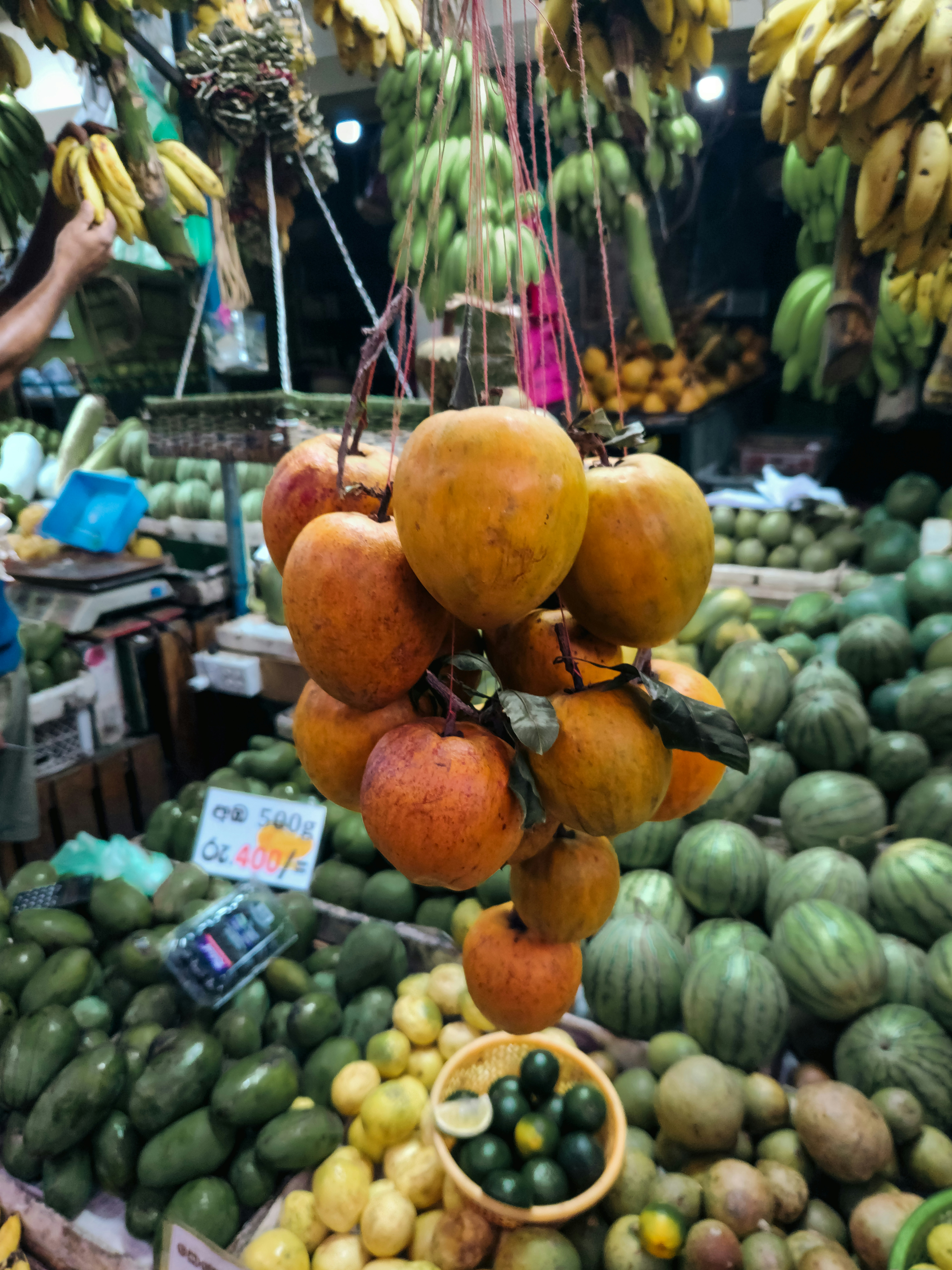 Photo by zoshuacolah