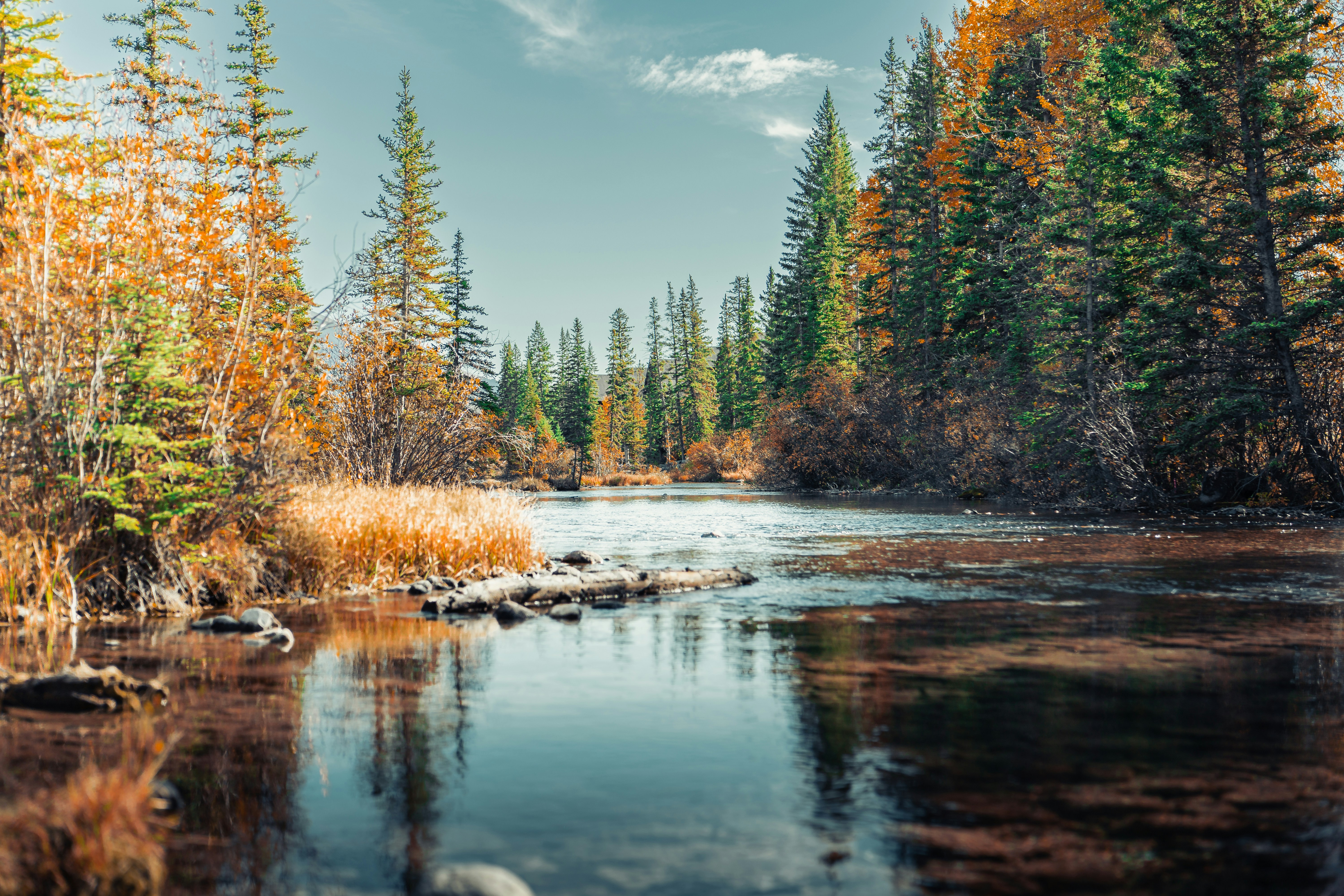 Photo by sachin_sandhu