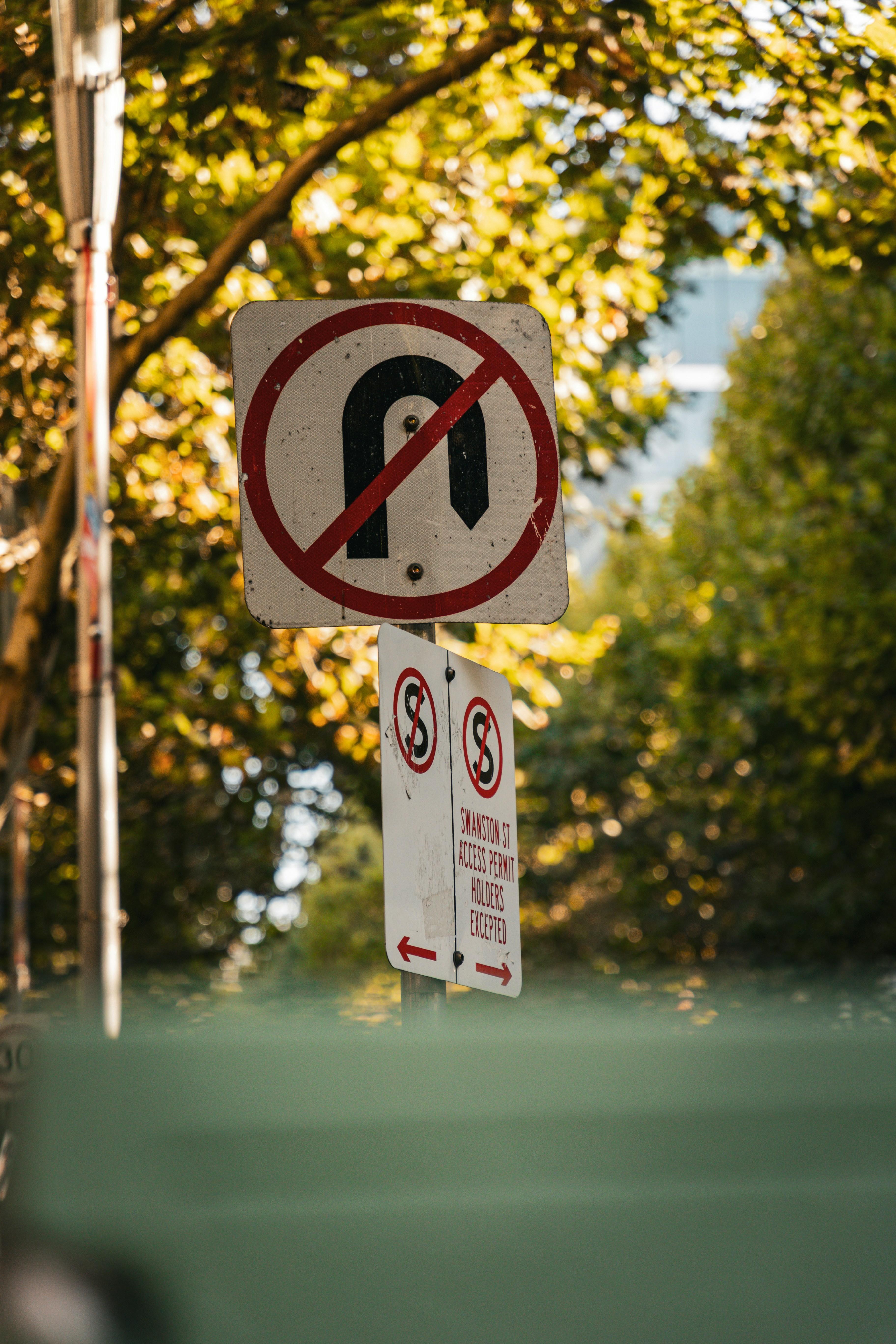 Photo by macourtmedia