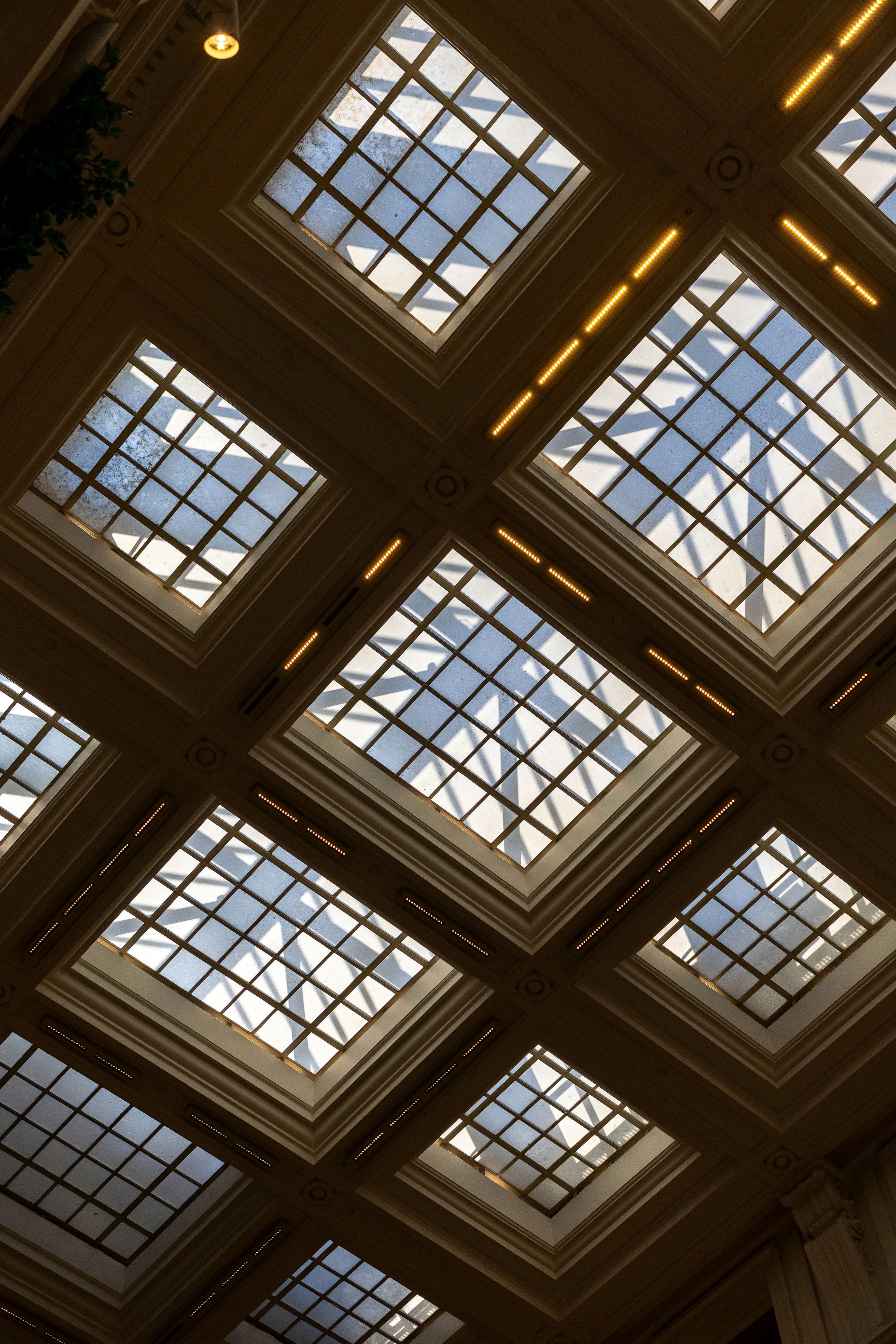 Photo by macourtmedia