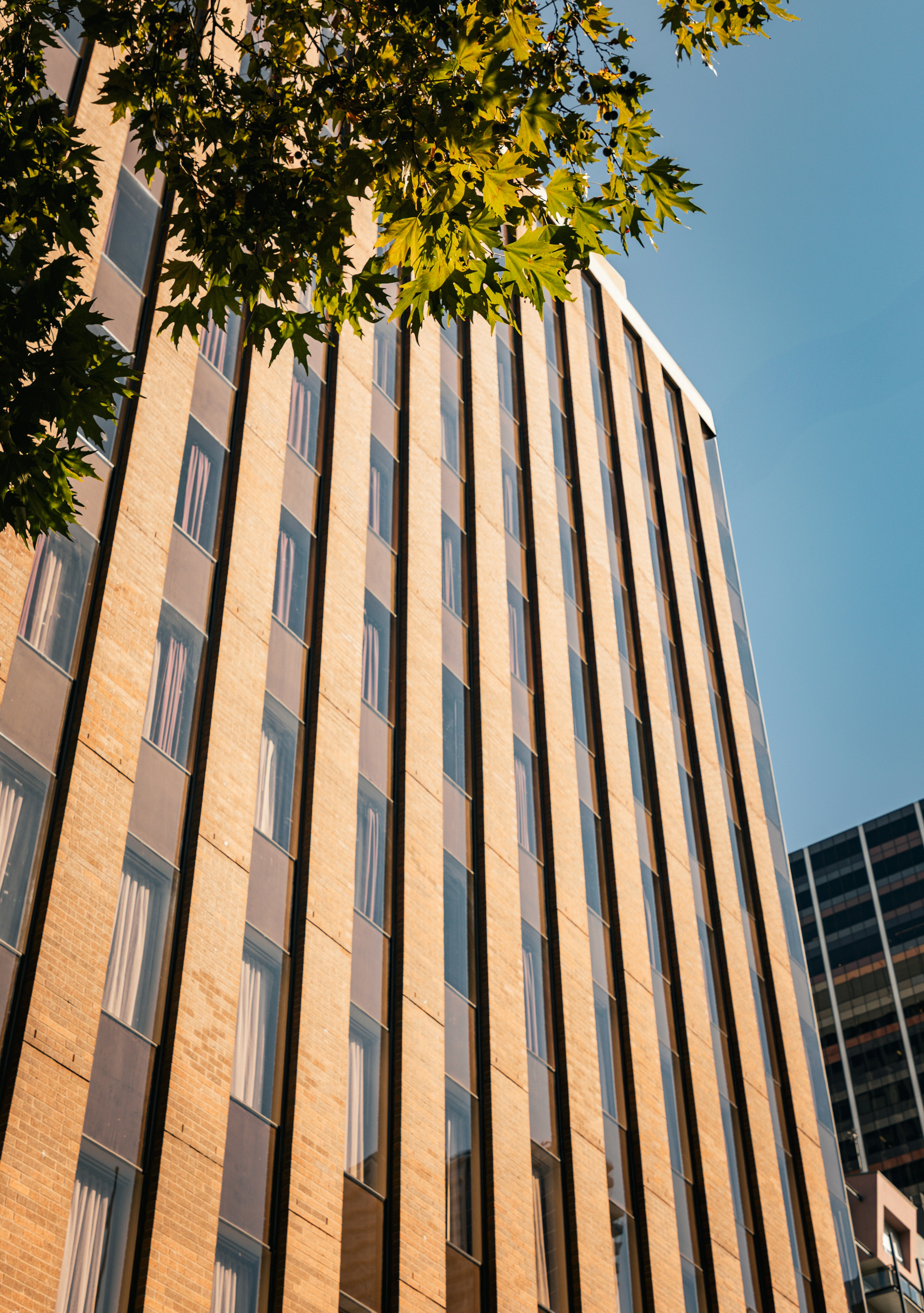 Photo by macourtmedia