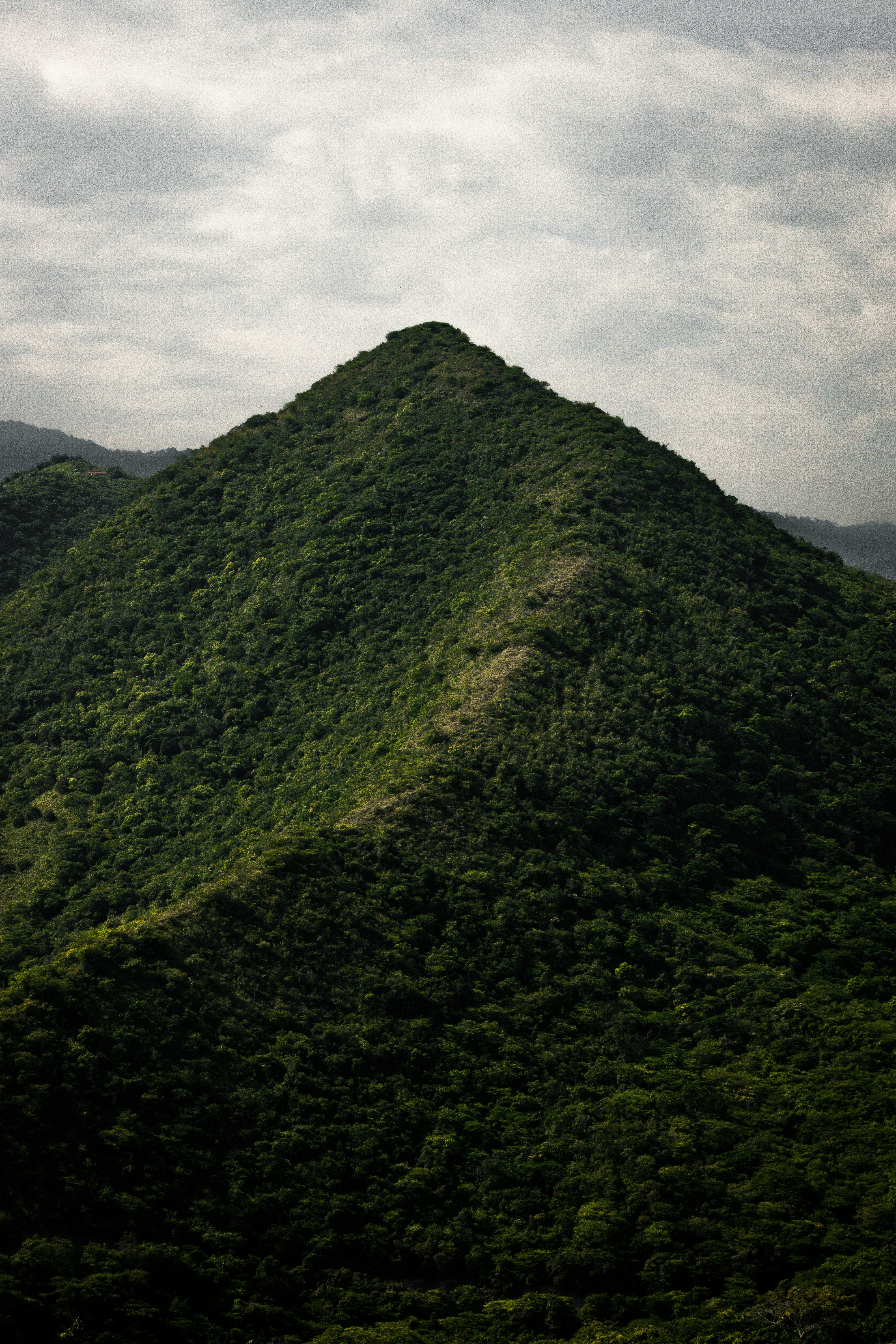 Photo by sebaslaverde_nkn