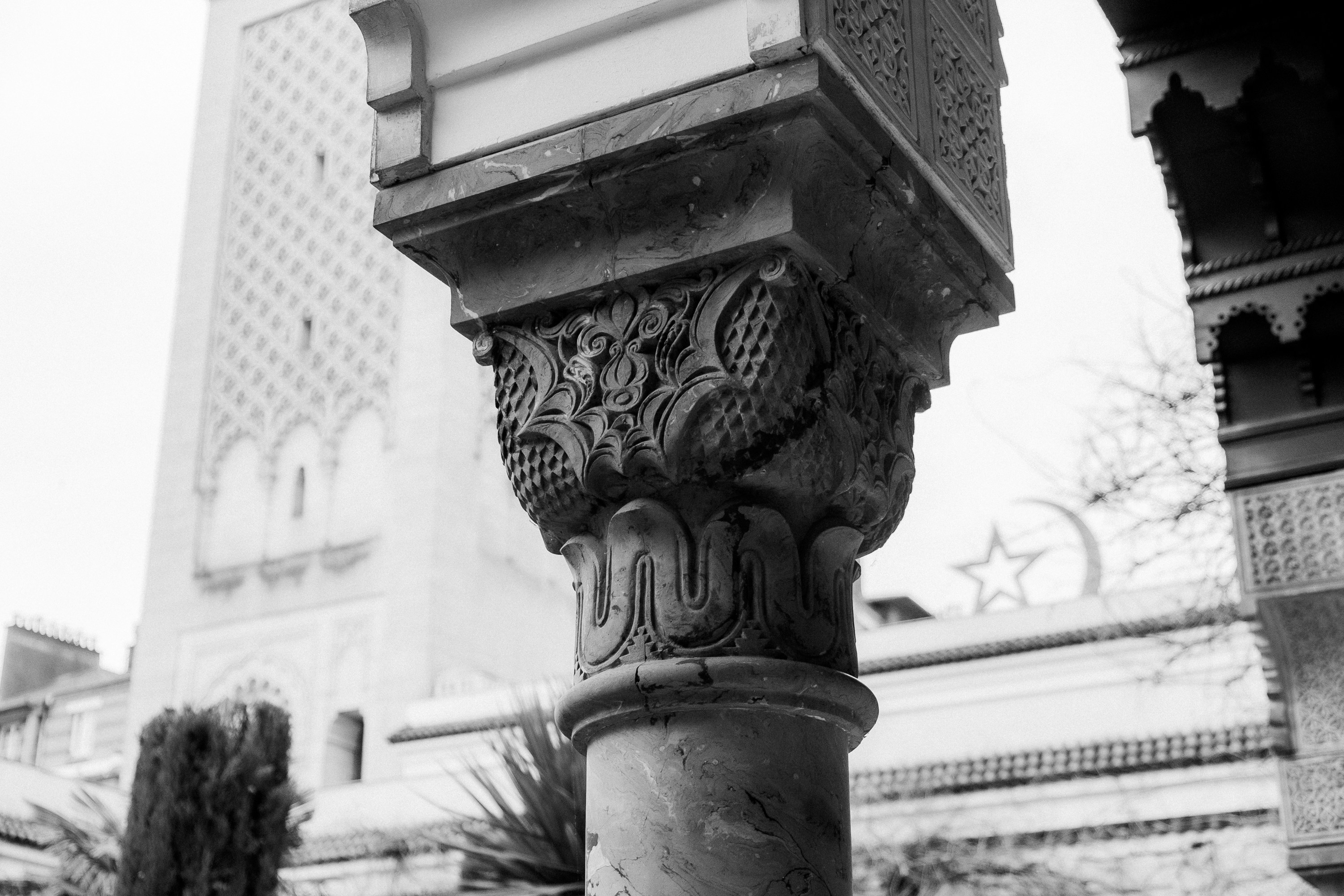 Photo by fruitfullmedia