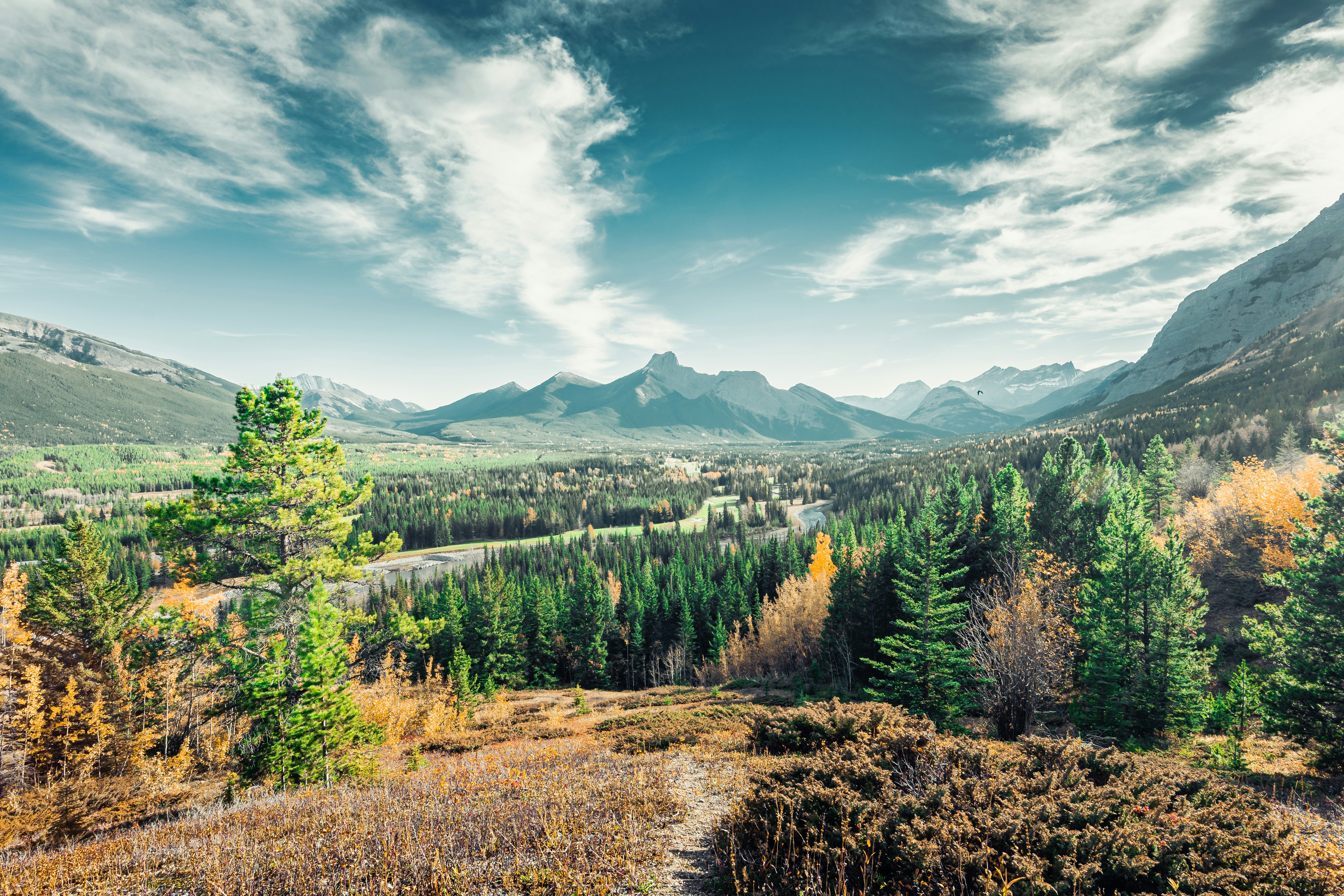 Photo by sachin_sandhu