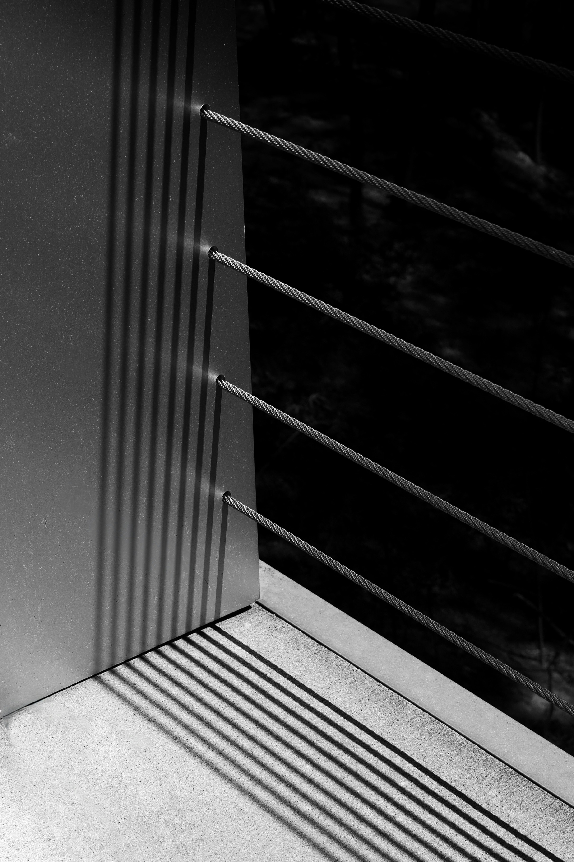 Photo by _zash_capturing