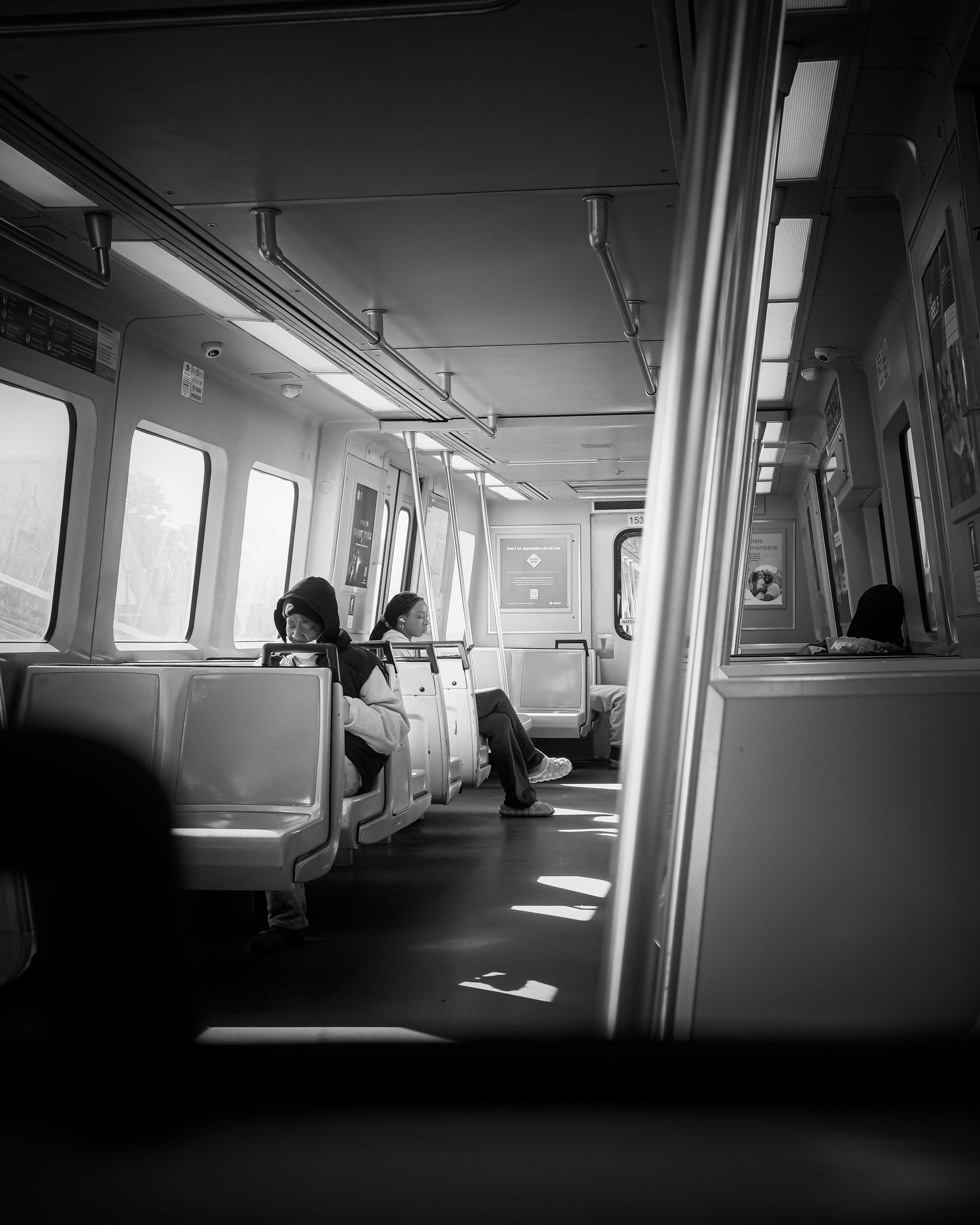 Photo by _zash_capturing