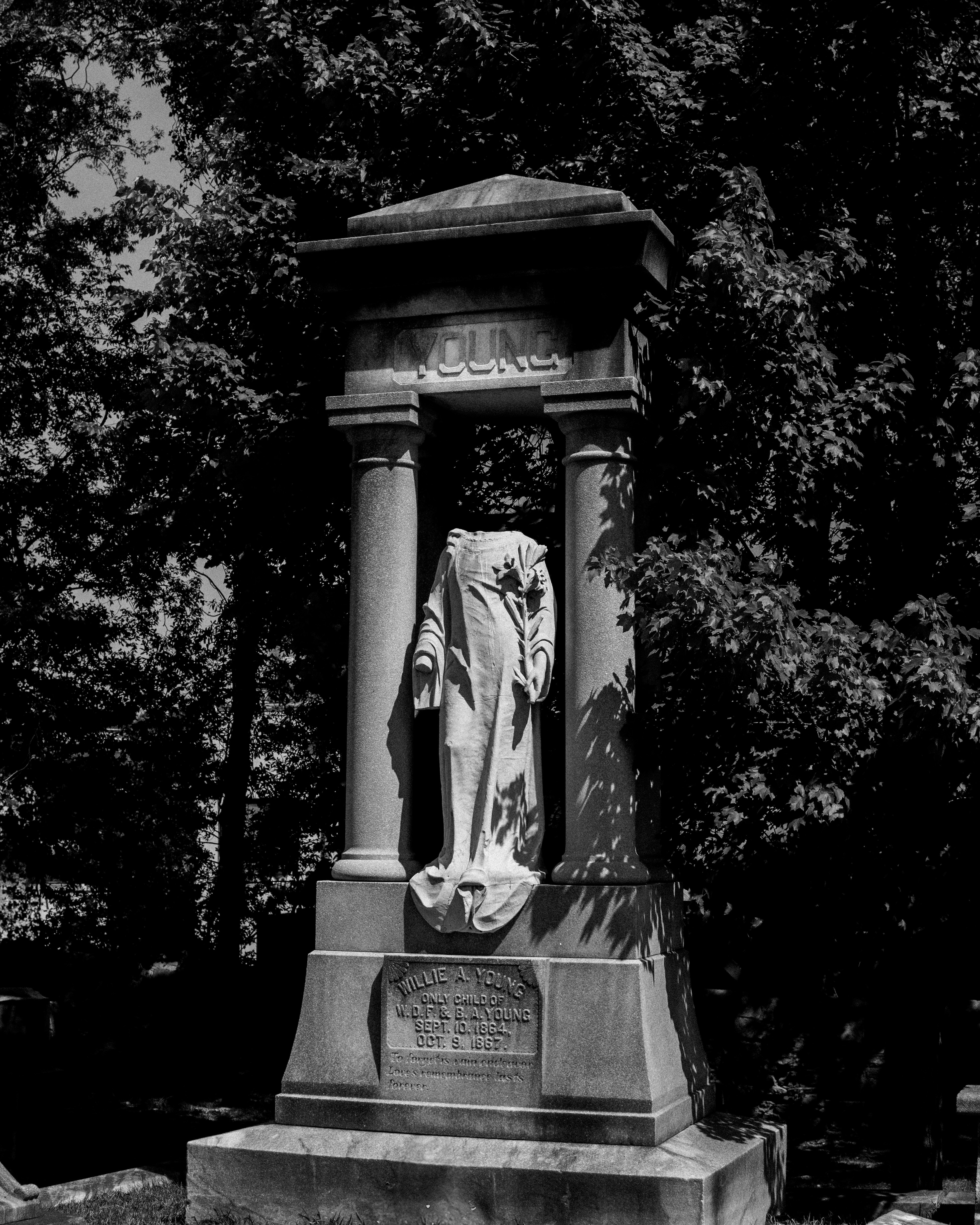 Photo by _zash_capturing