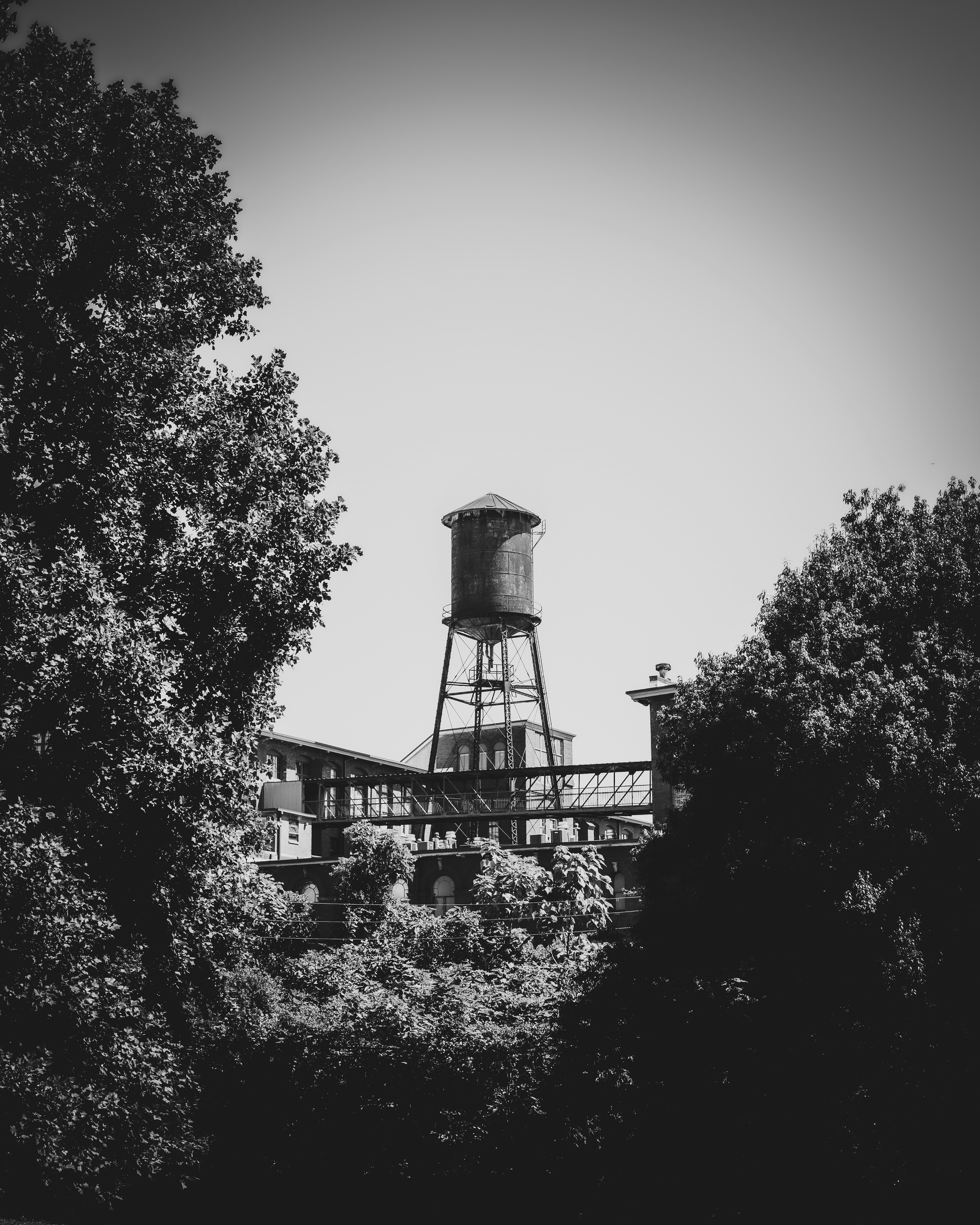 Photo by _zash_capturing