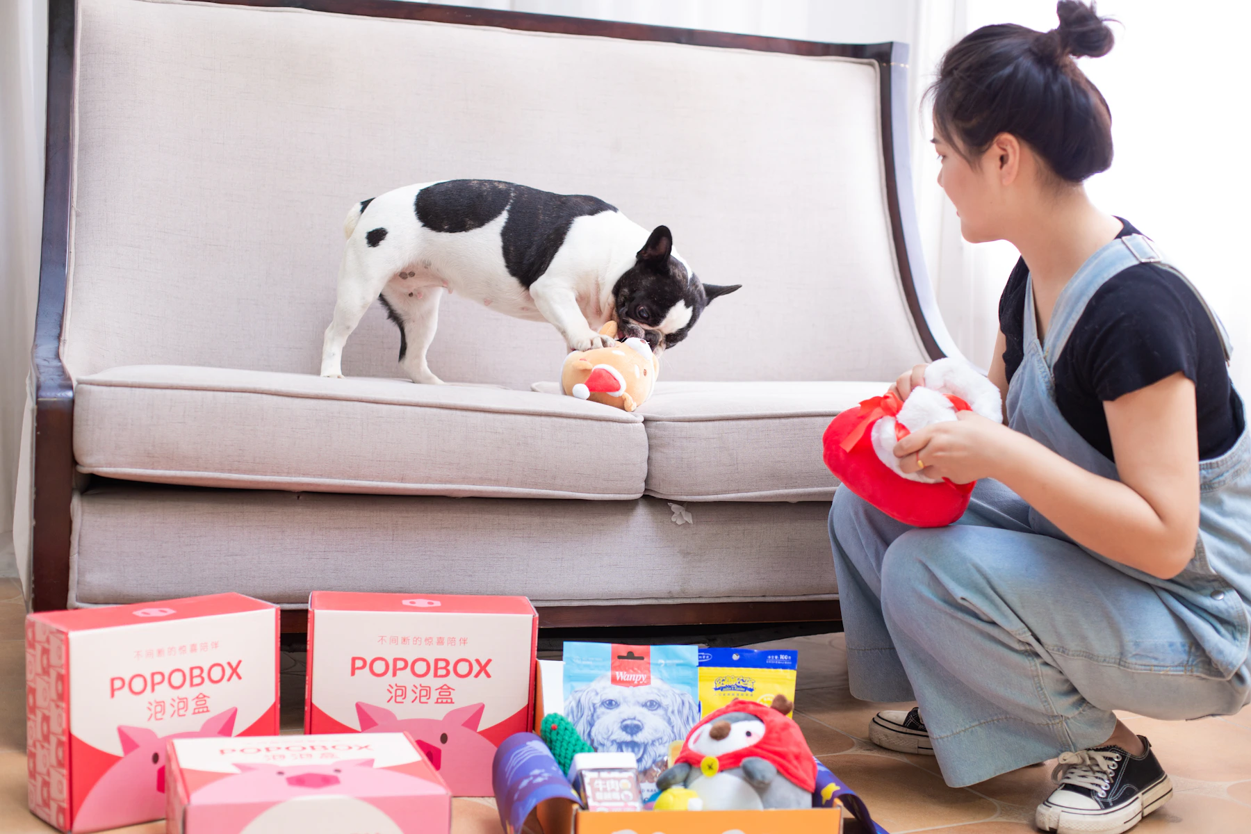 Dog discovering a box of toys