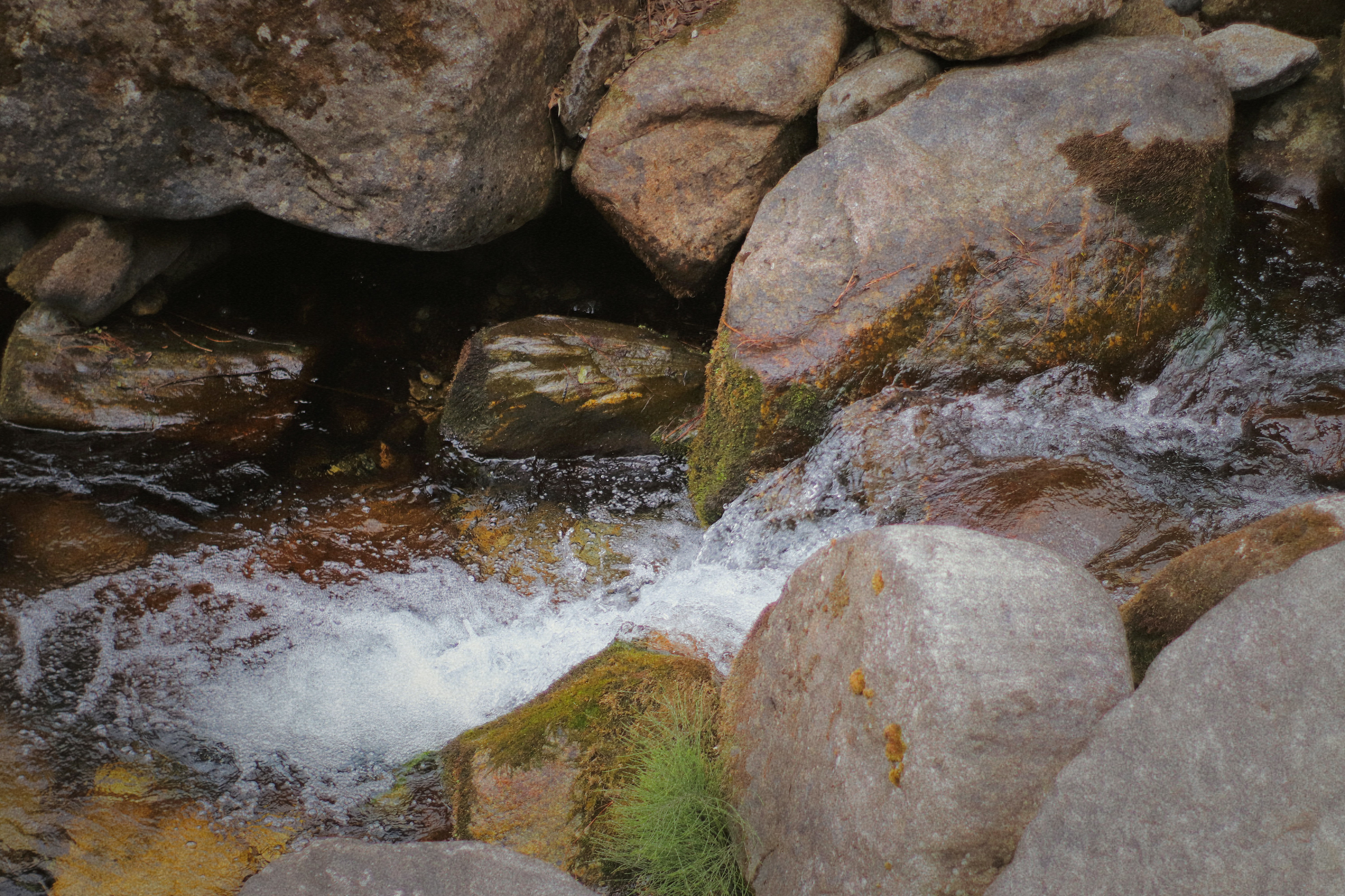 Photo by jizhidexiaohailang