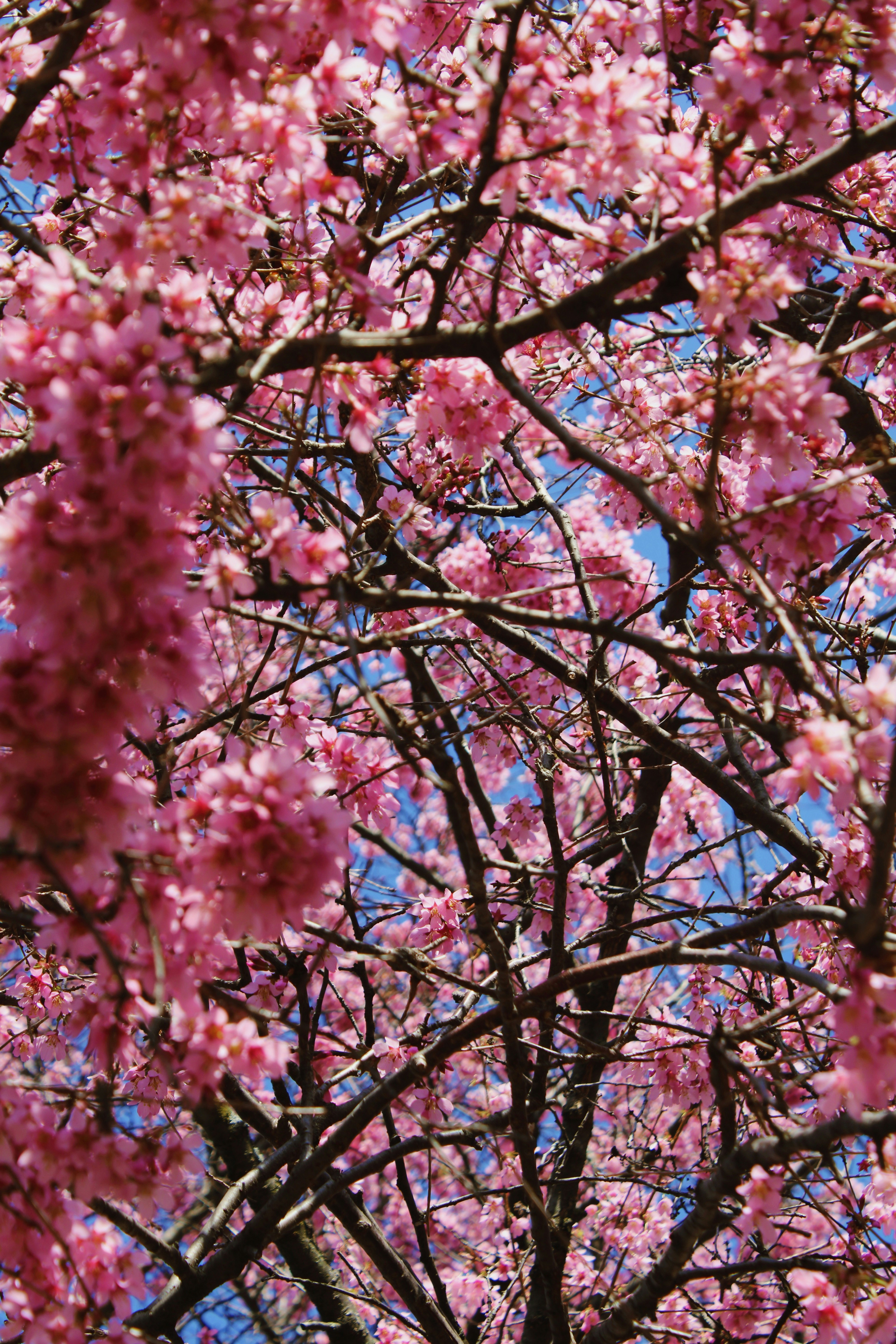 Photo by etiennejanylah