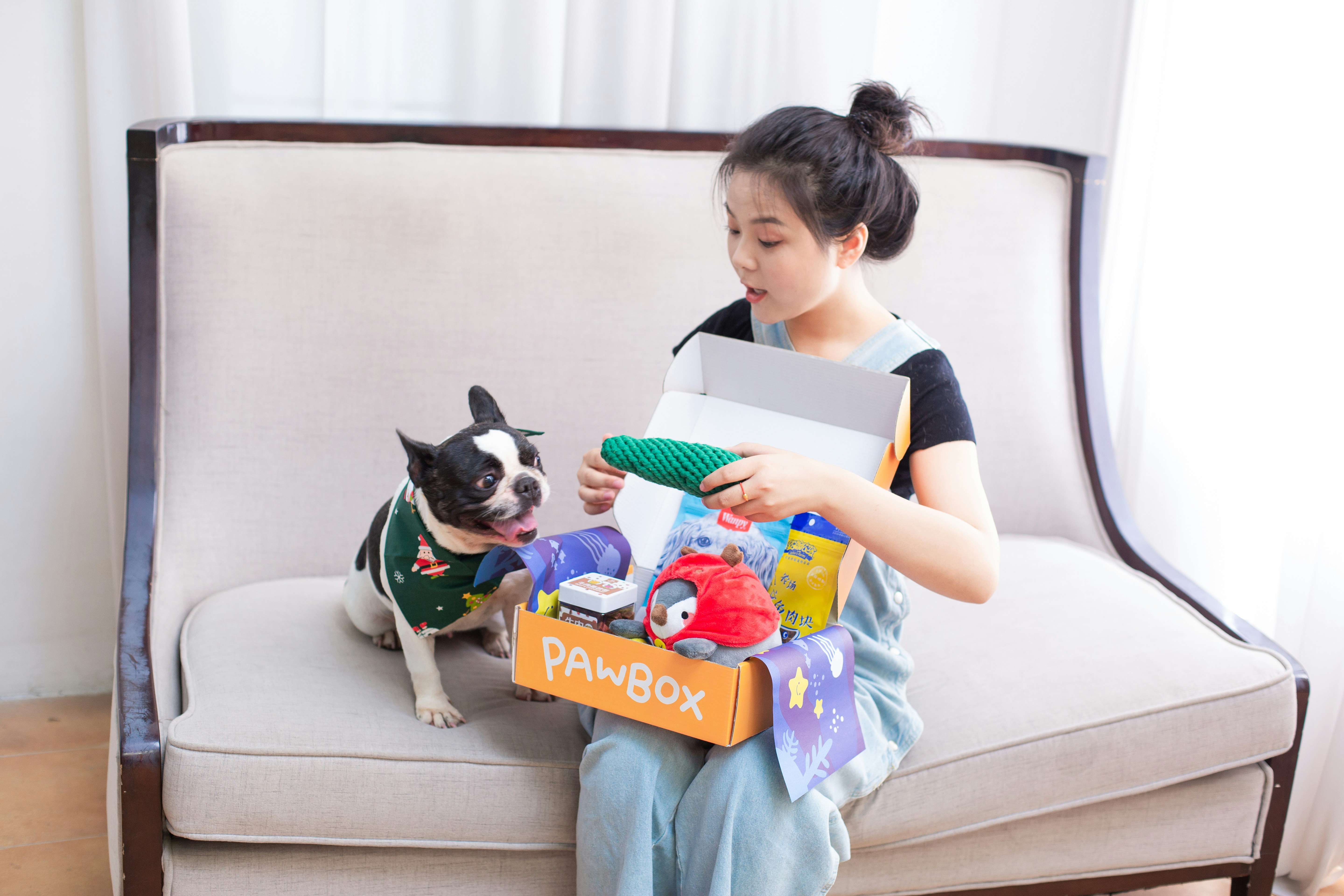 Korean Pet Tech: Smart Products for Your Pet