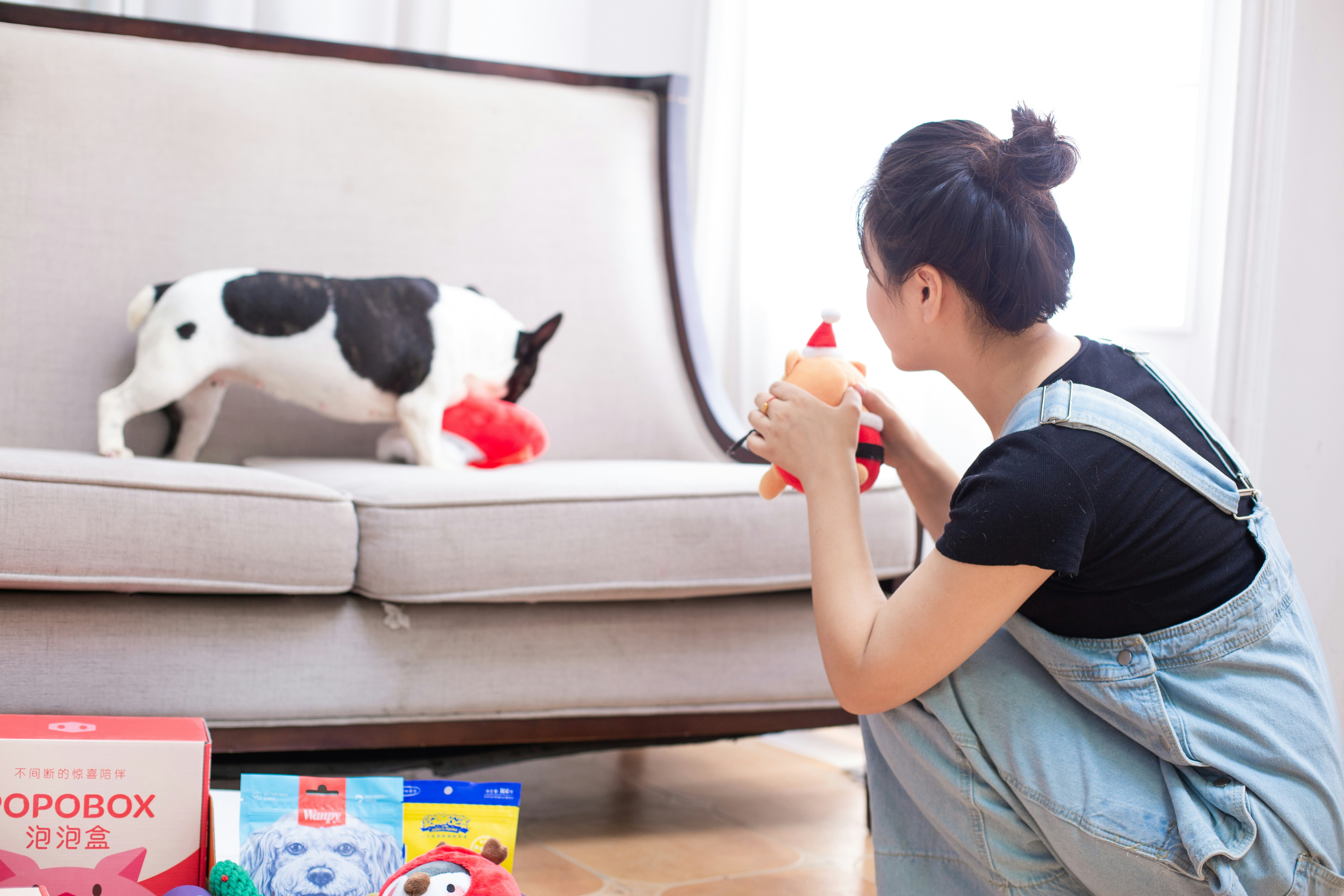 La femme joue avec un chien et des jouets près d’un canapé.