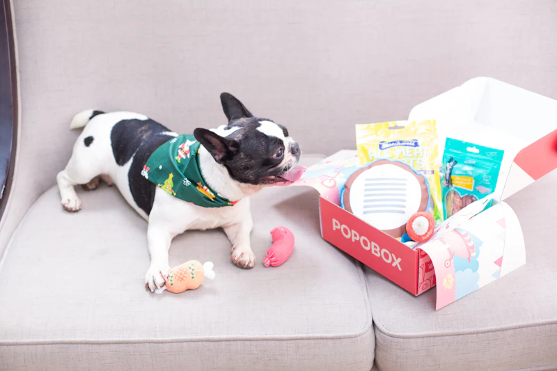 Top Puzzle Toys to Keep Your Dog Entertained