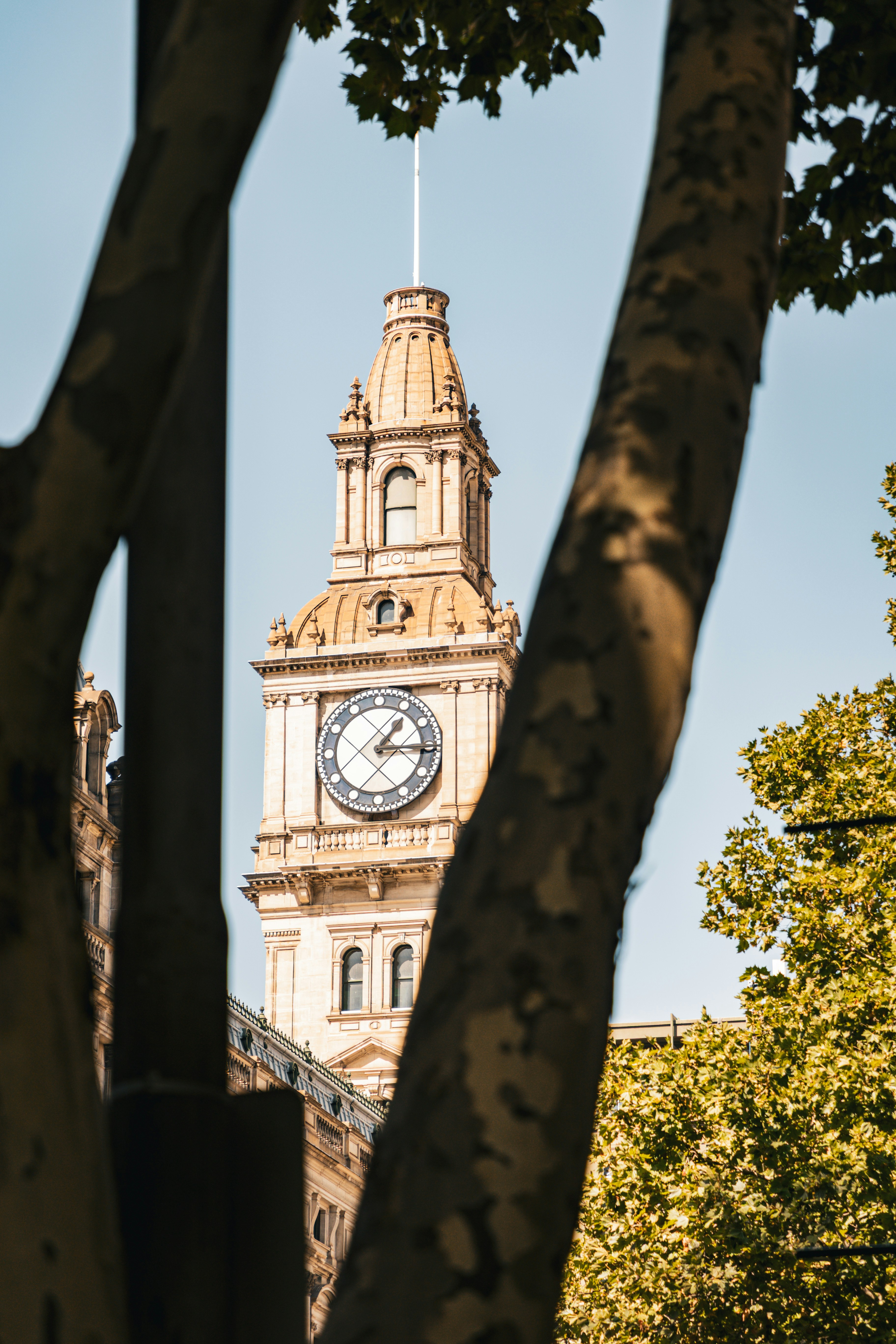 Photo by macourtmedia